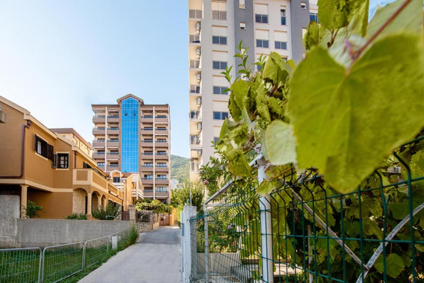 Apartment Pansy Montenegro KO Budva photo 3