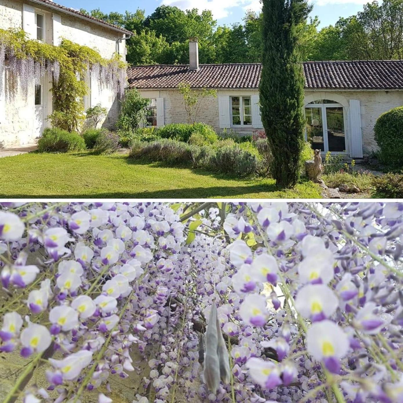 La Loge du Grand Cèdre, gîte de charme
