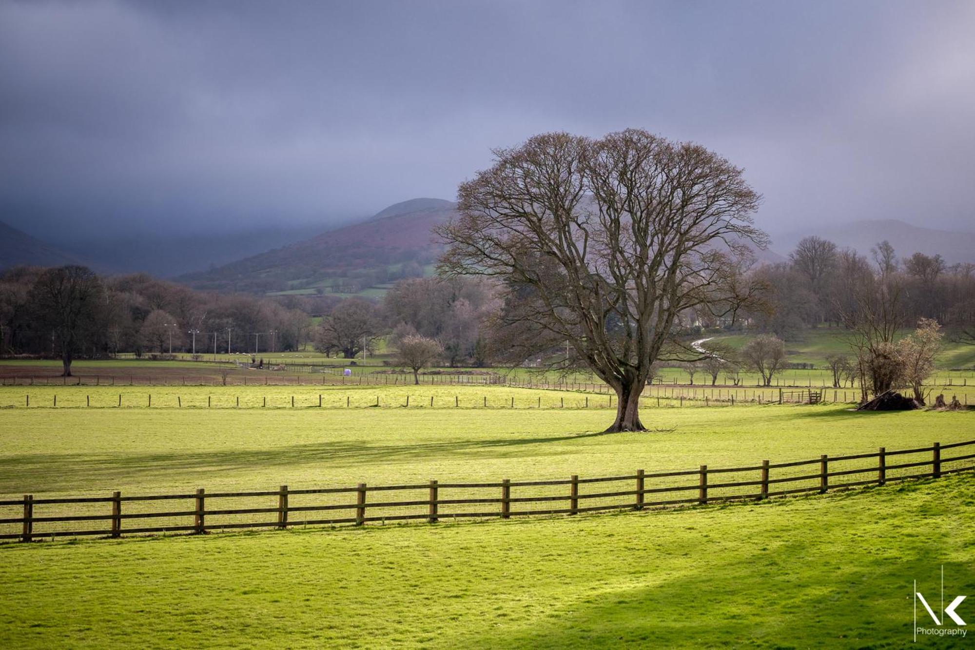 The Lodge Brecon B&B