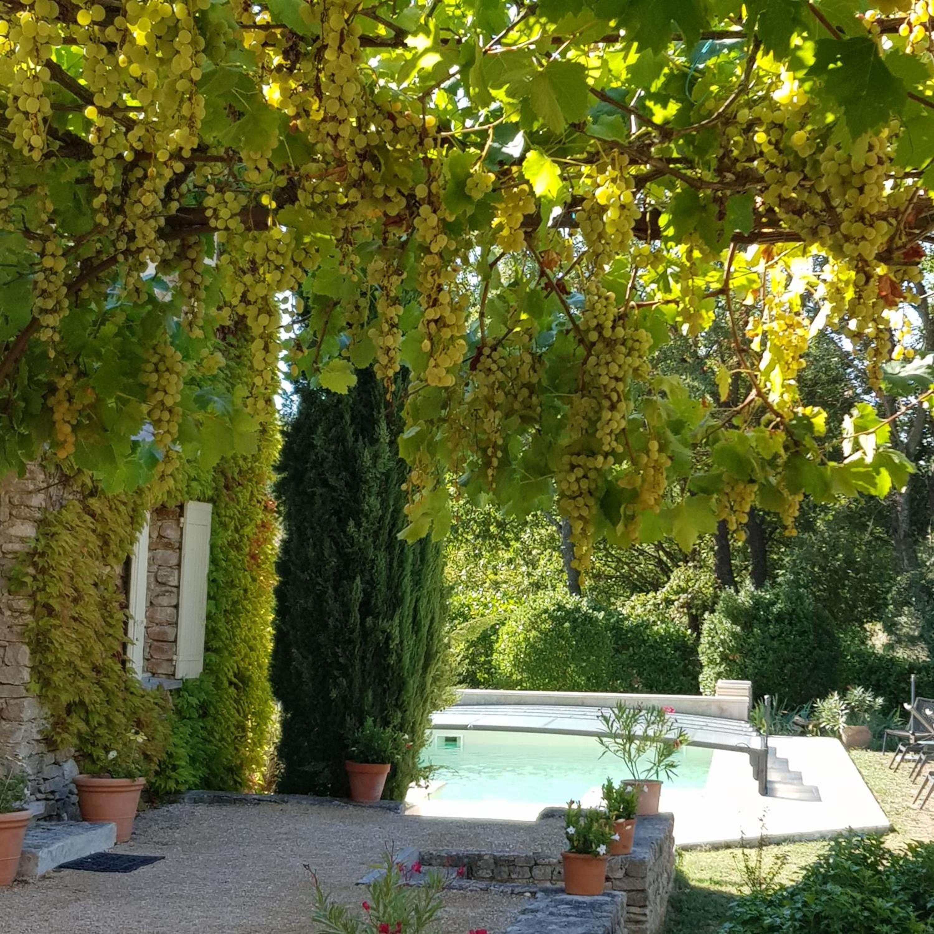 Le Mas Vigneron