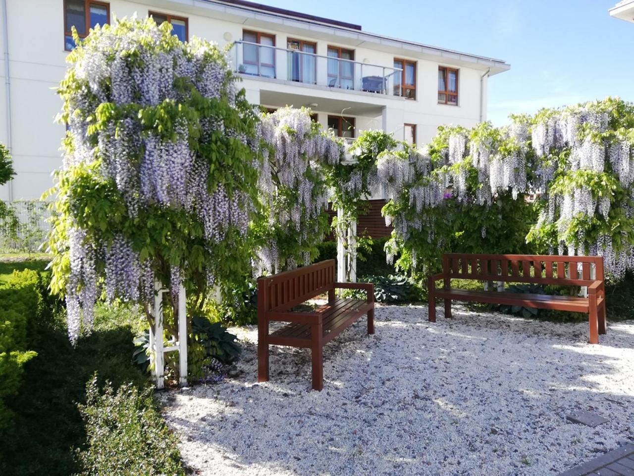 Apartament Jaśminowy Shiraz Gdynia