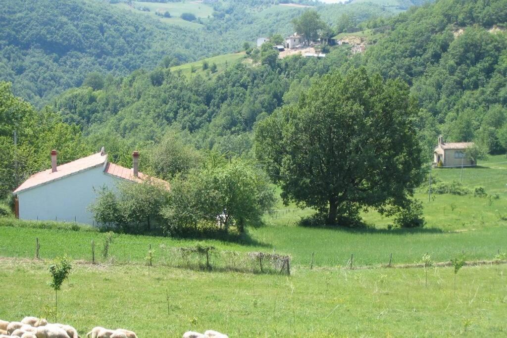 Casa vacanze Monti della Laga photo 3
