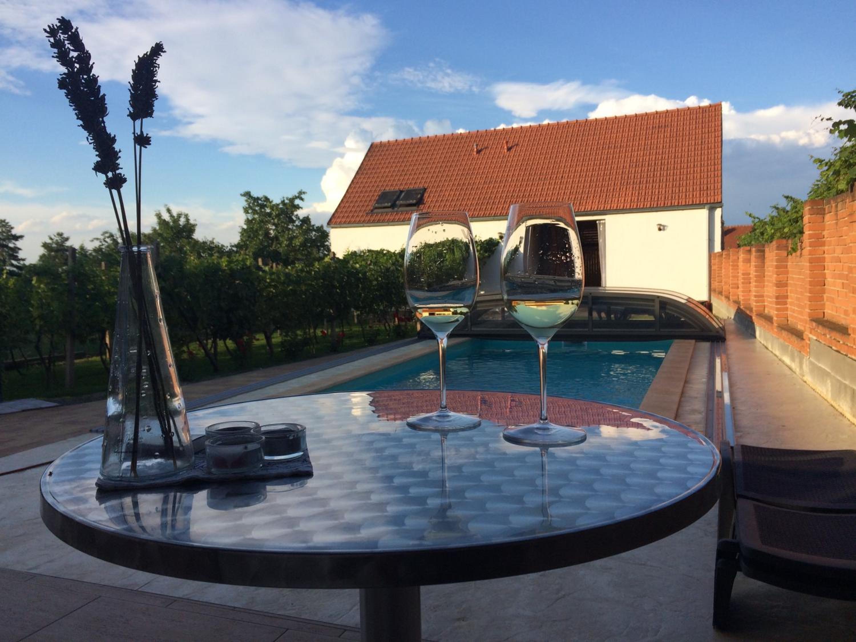 Rezidence Věstonice view 4