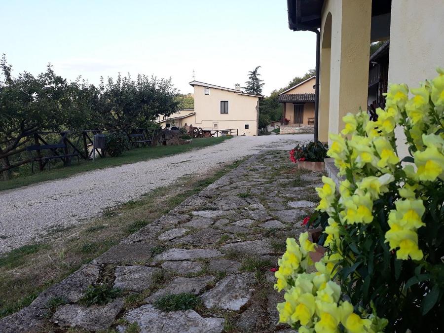 Agriturismo Casale Sant'Antonio