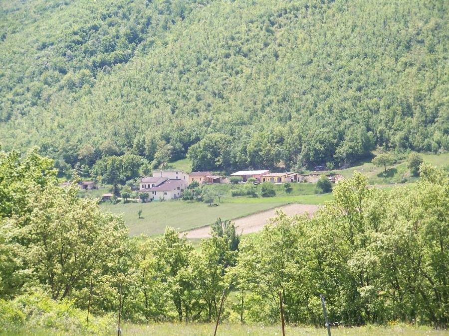 Agriturismo Casale Sant'Antonio