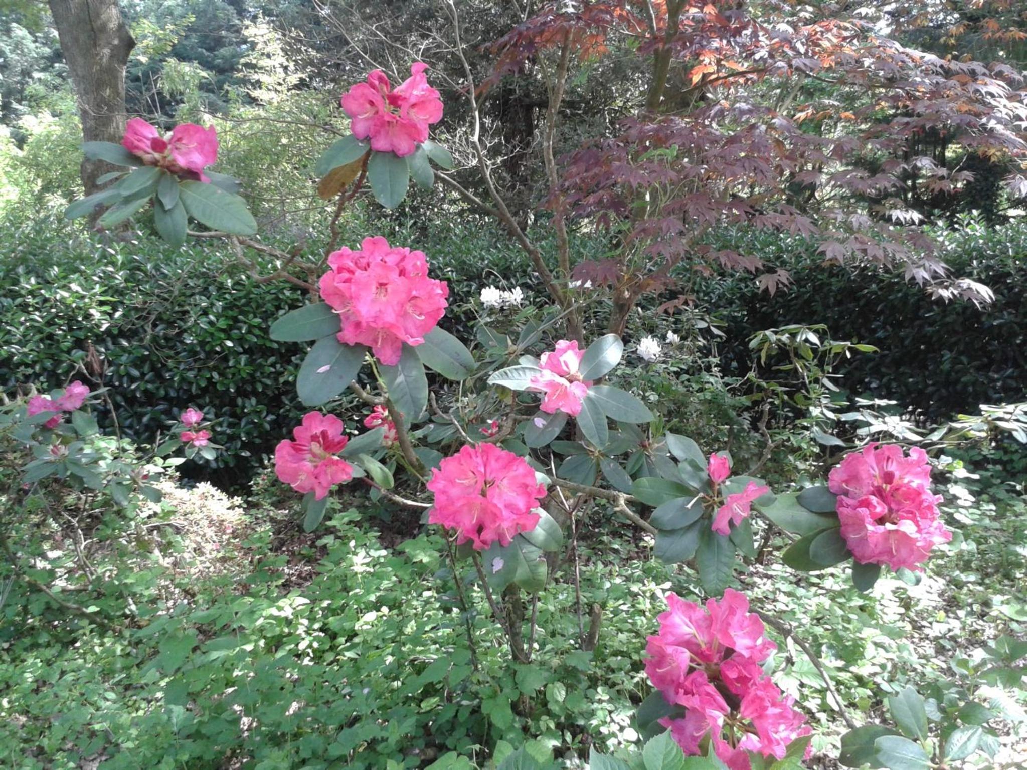 Photo 29