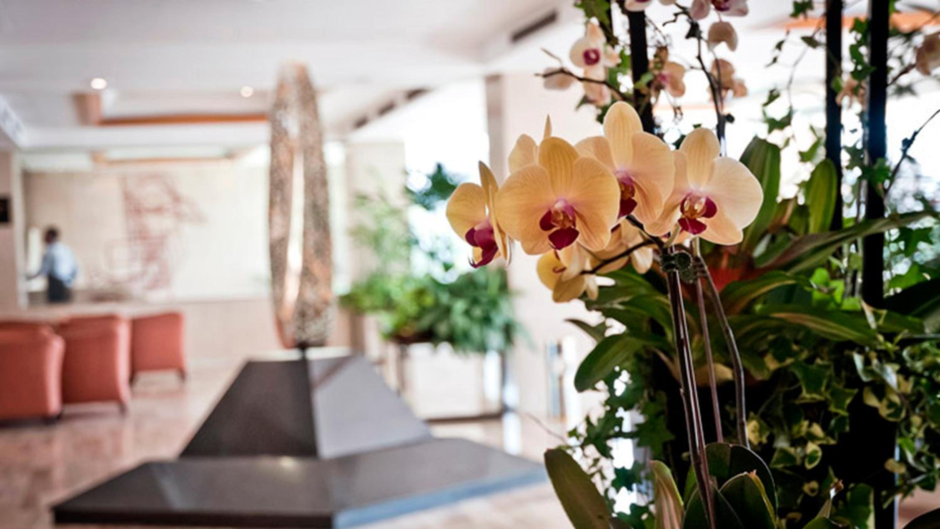 Lobby & Reception