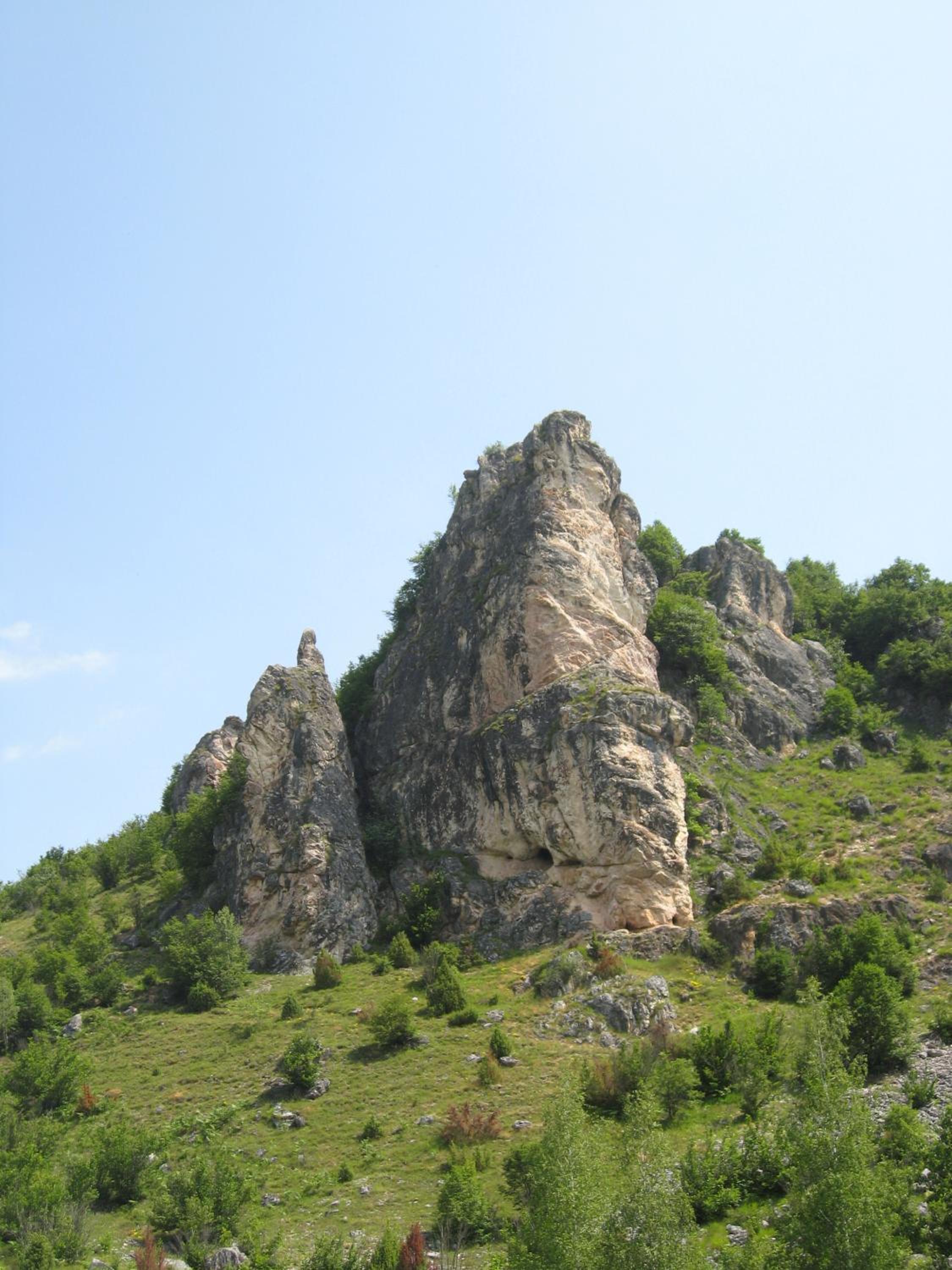 Photo 51
