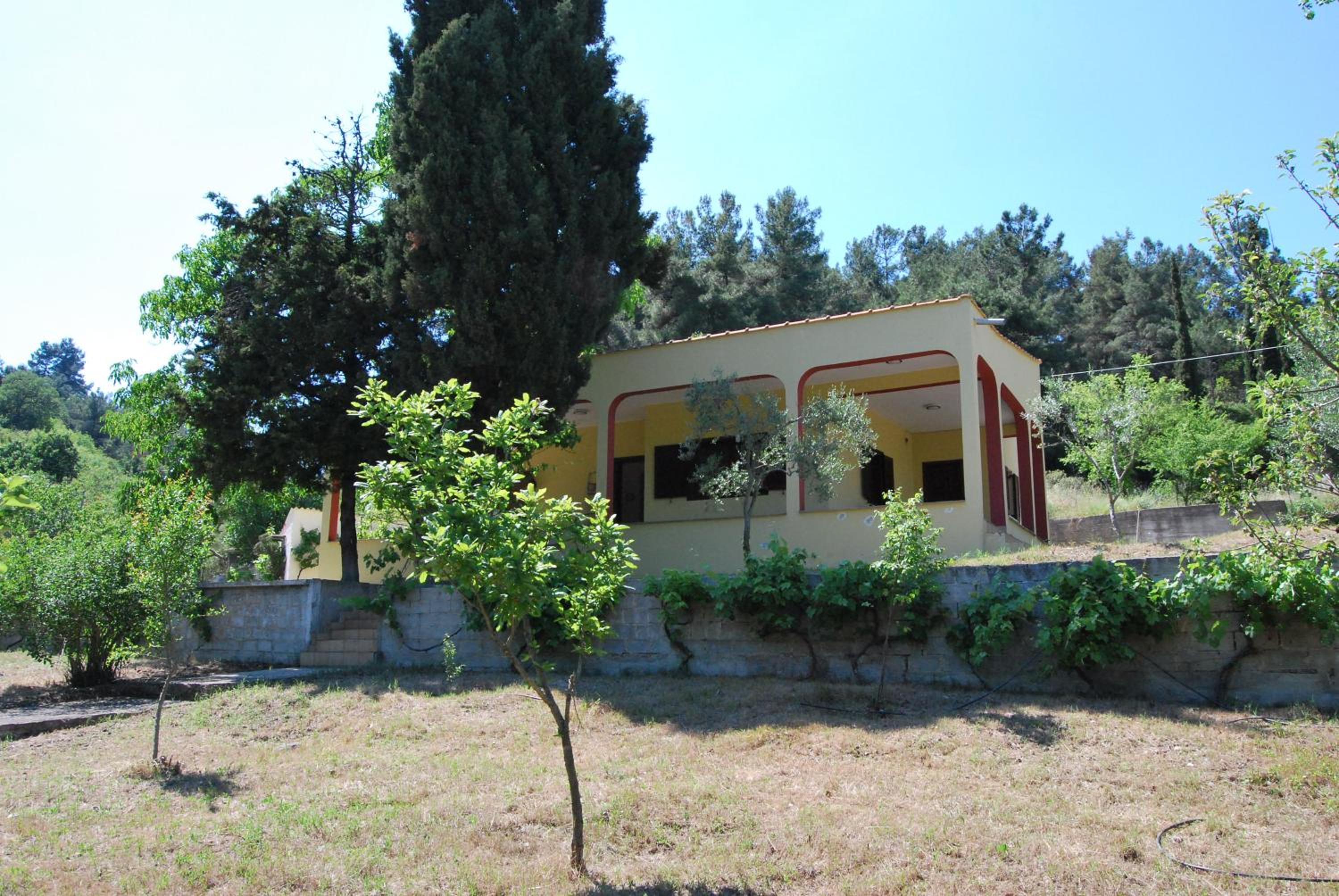 Ktima Garidis view 5