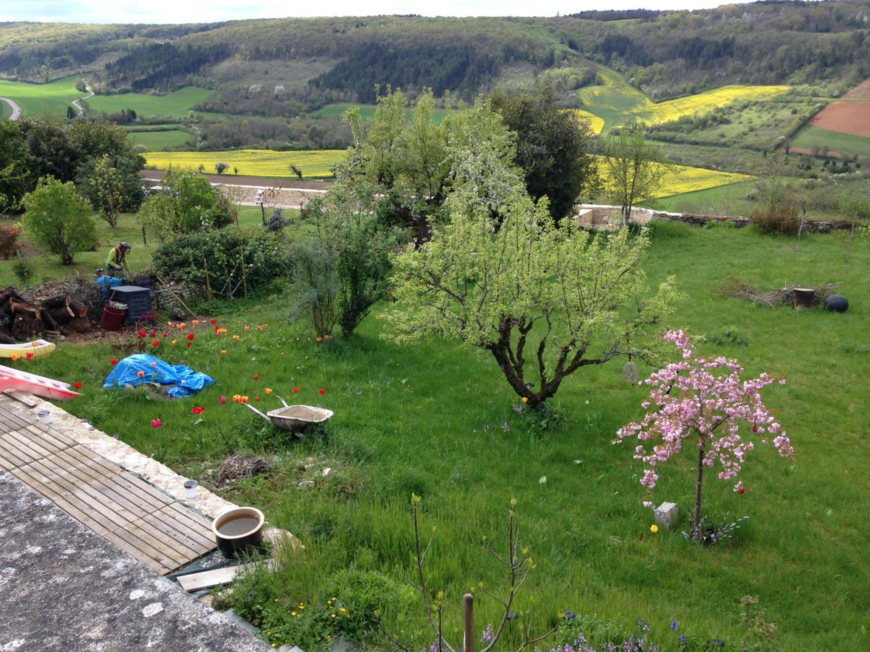 Photo 6