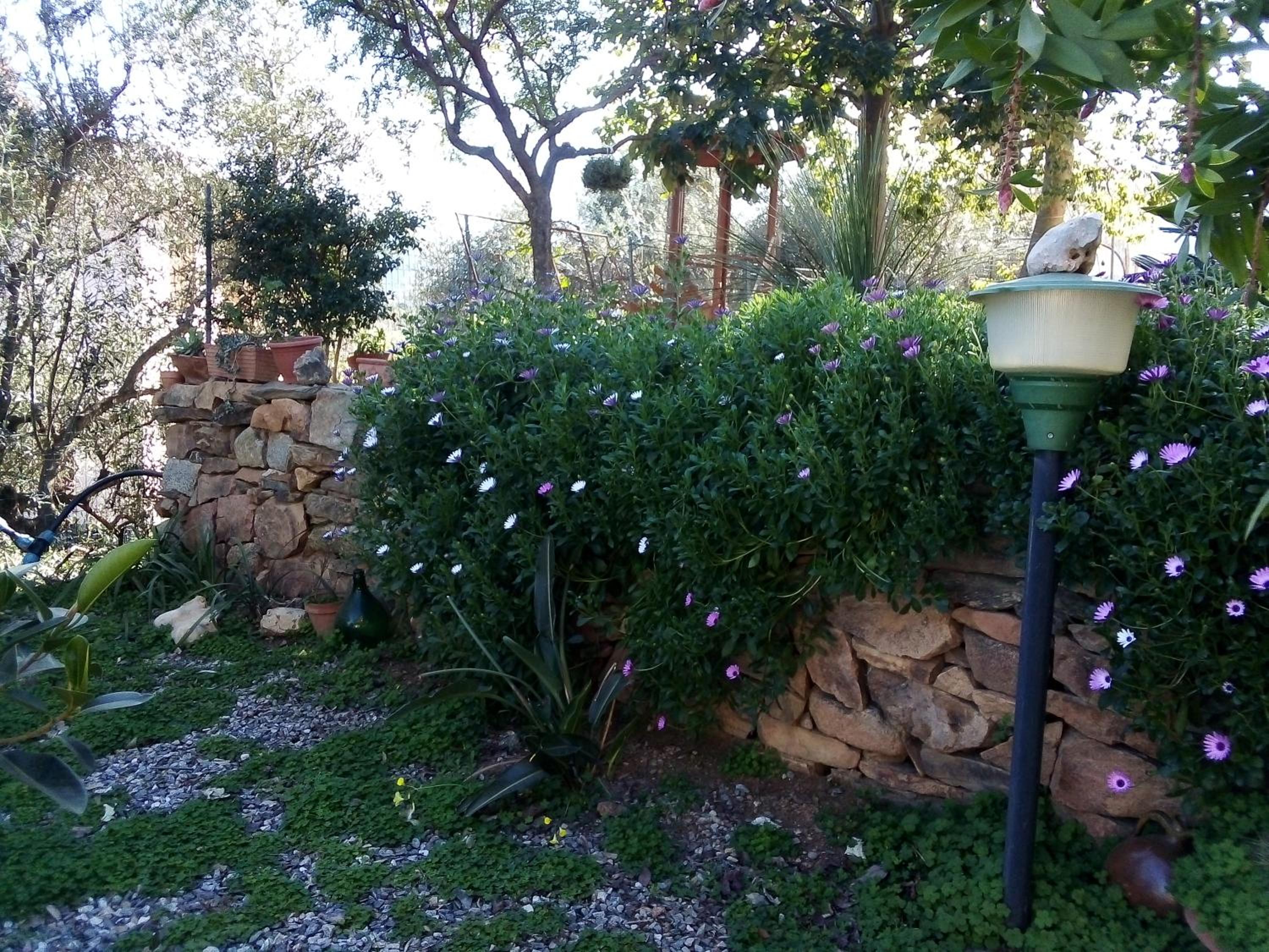Appartamento titina photo 4