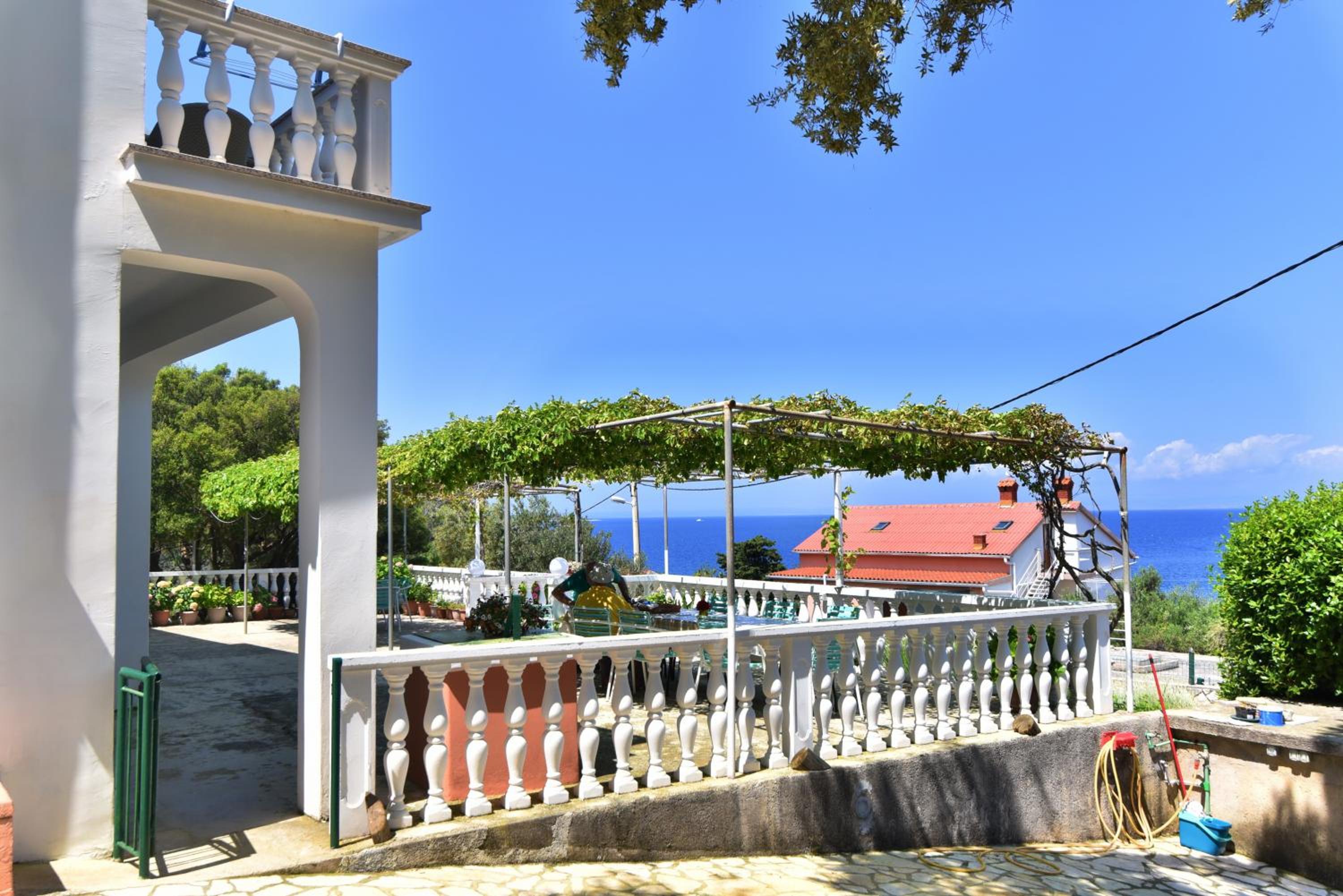 Apartmani Badurina - Maslina view 3