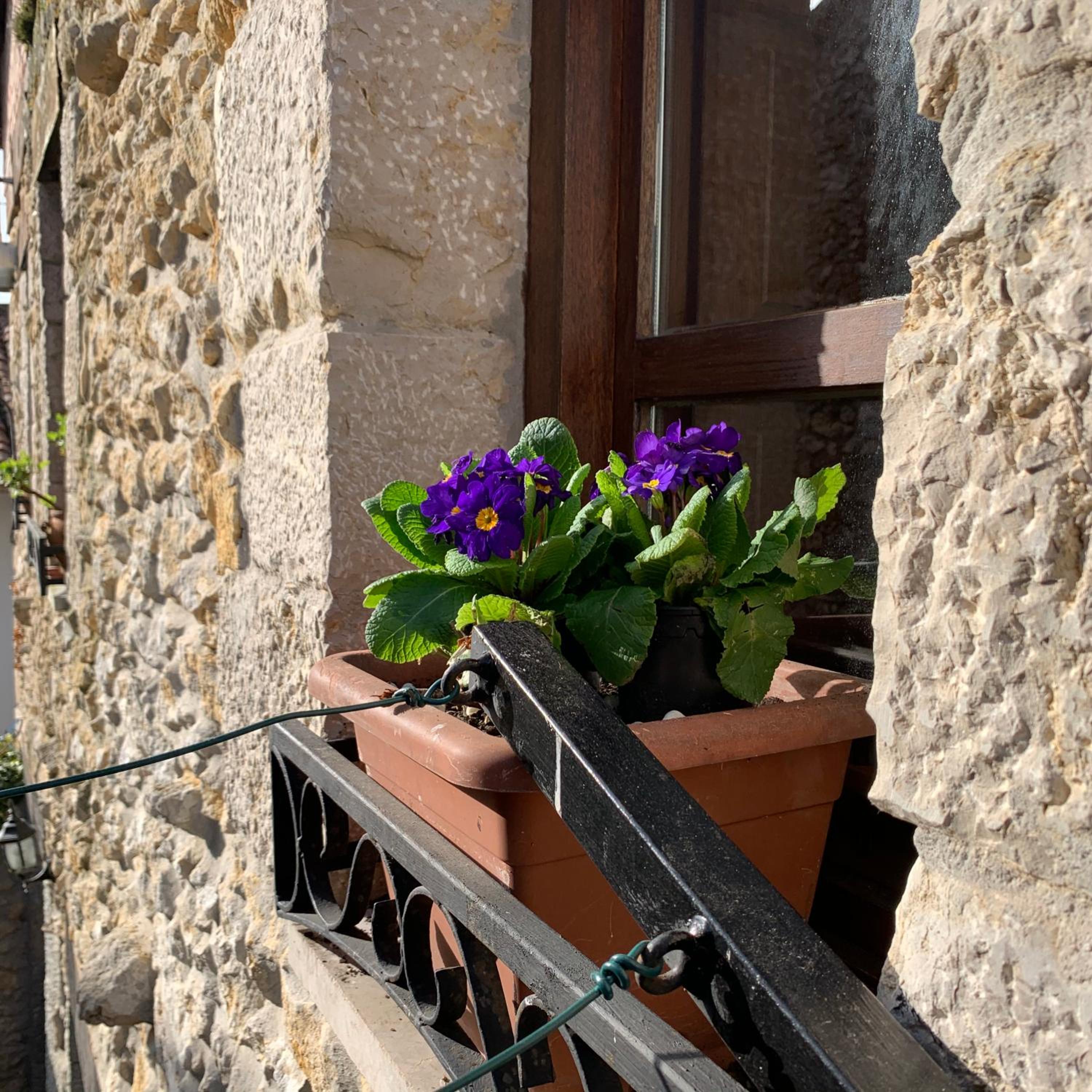 Photo 25