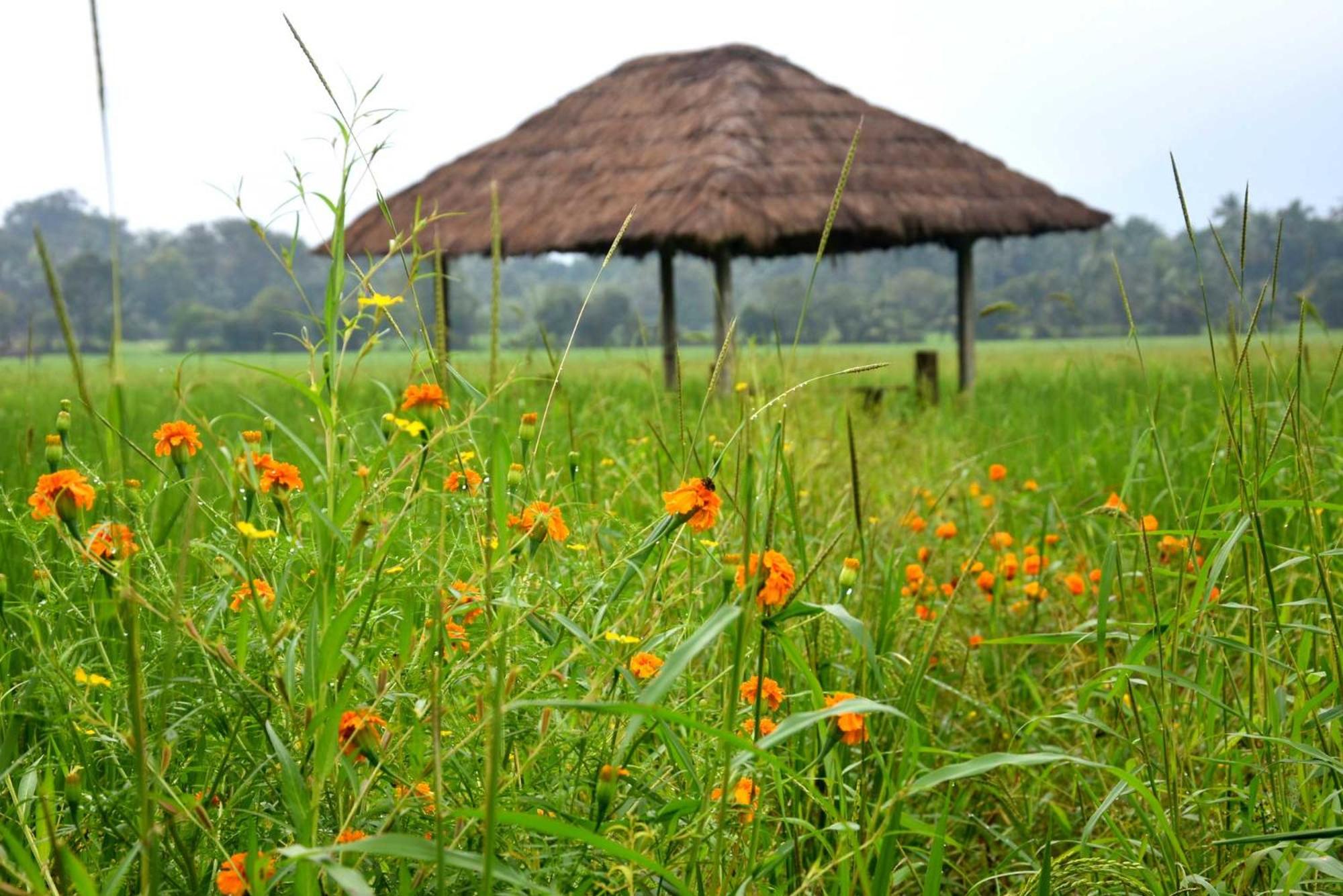 Green Heritage Holiday Resort