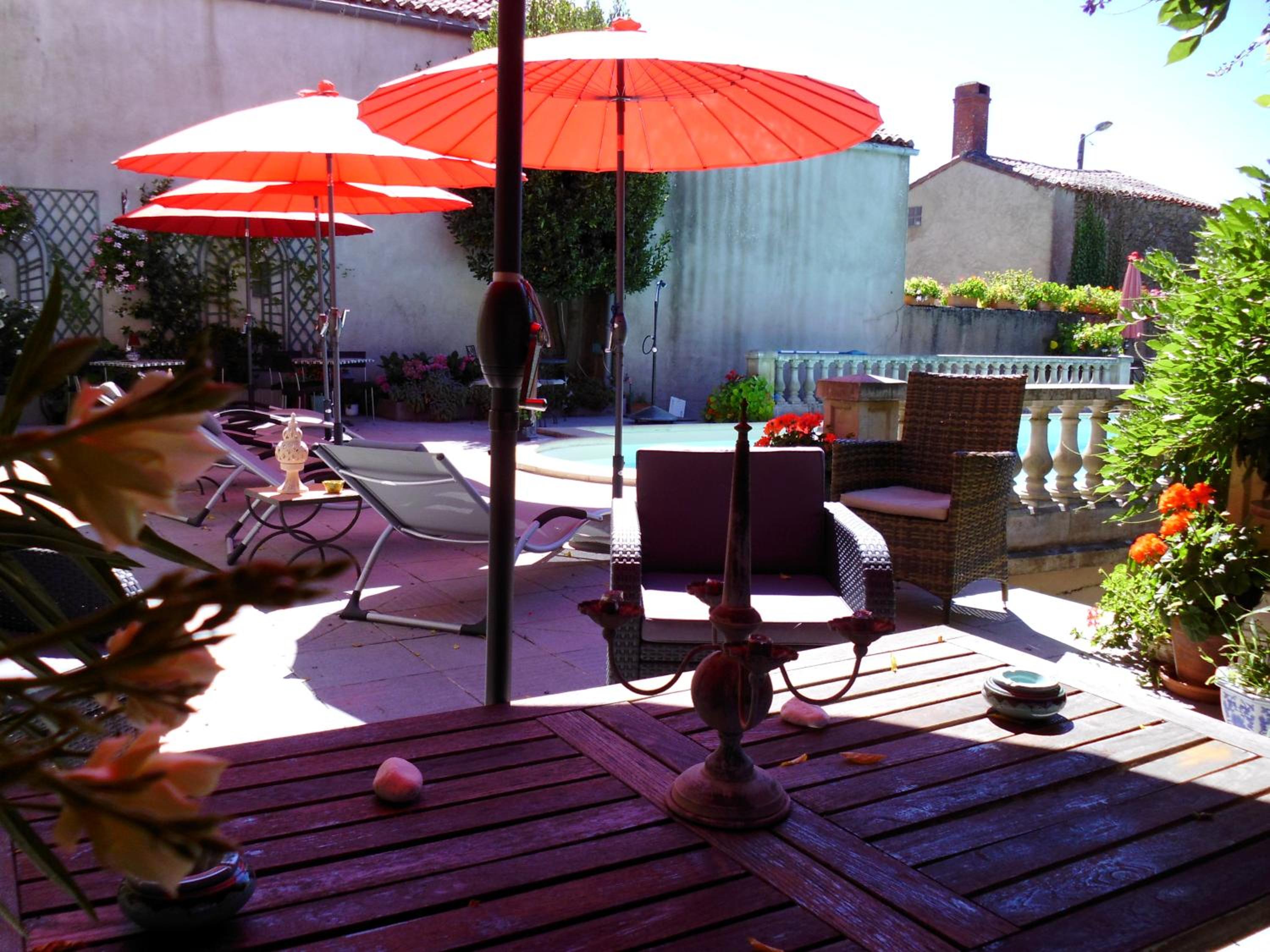 Photo 41