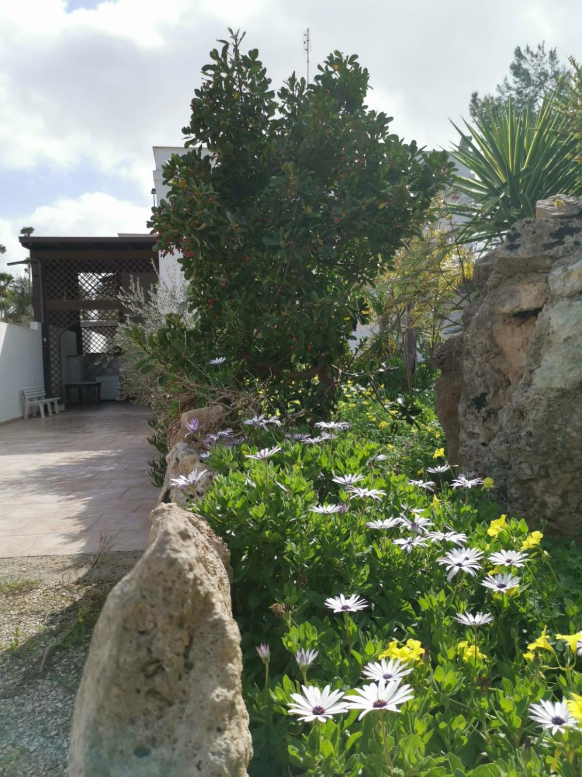 La Casa Nella Pineta - Gallipoli photo 5