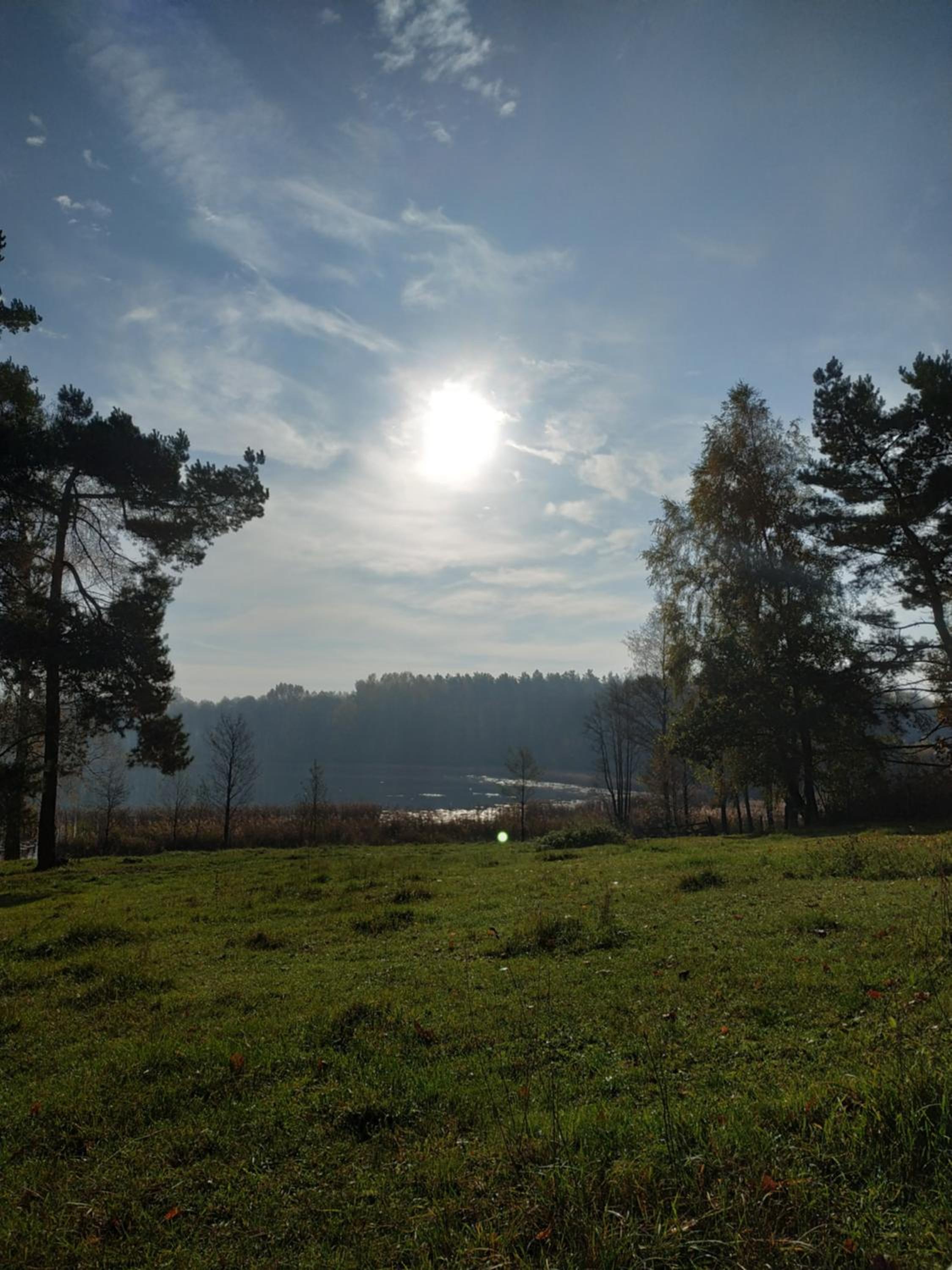 Zalesie - wyjątkowe domki nad jeziorem