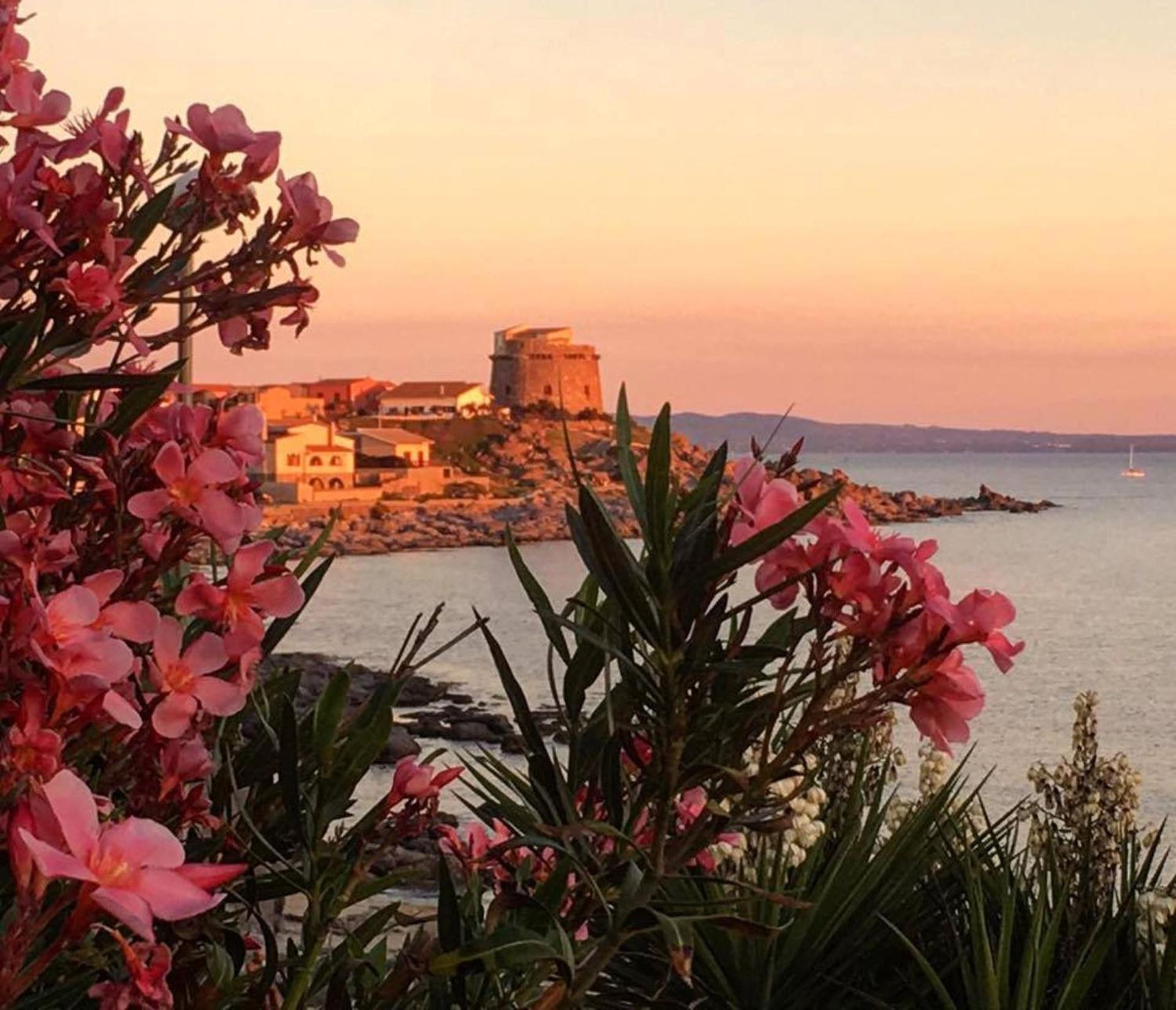 B&B Domus Oriens - monolocale indipendente in villa