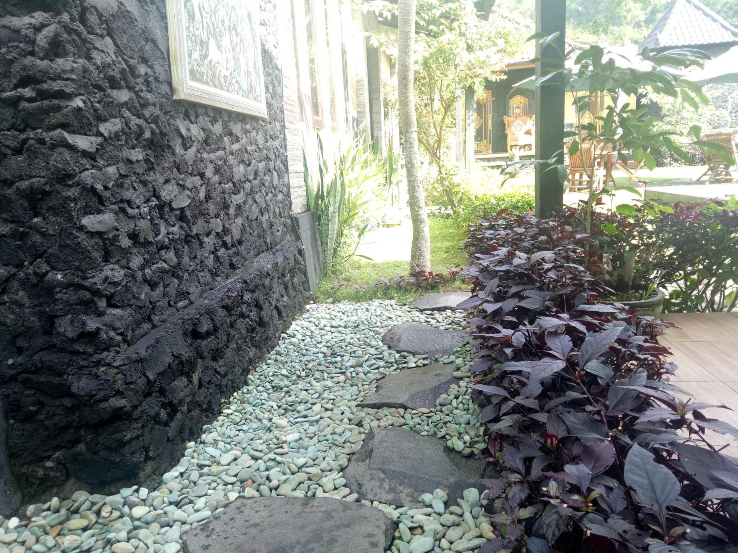 Photo 200