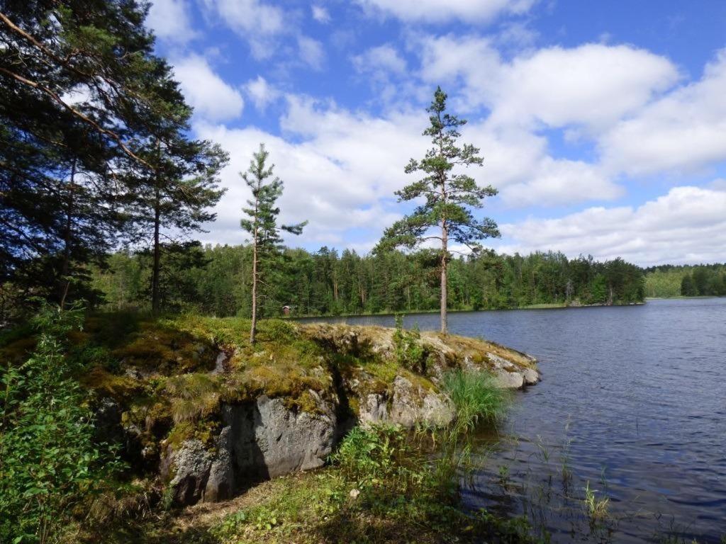 Photo 21