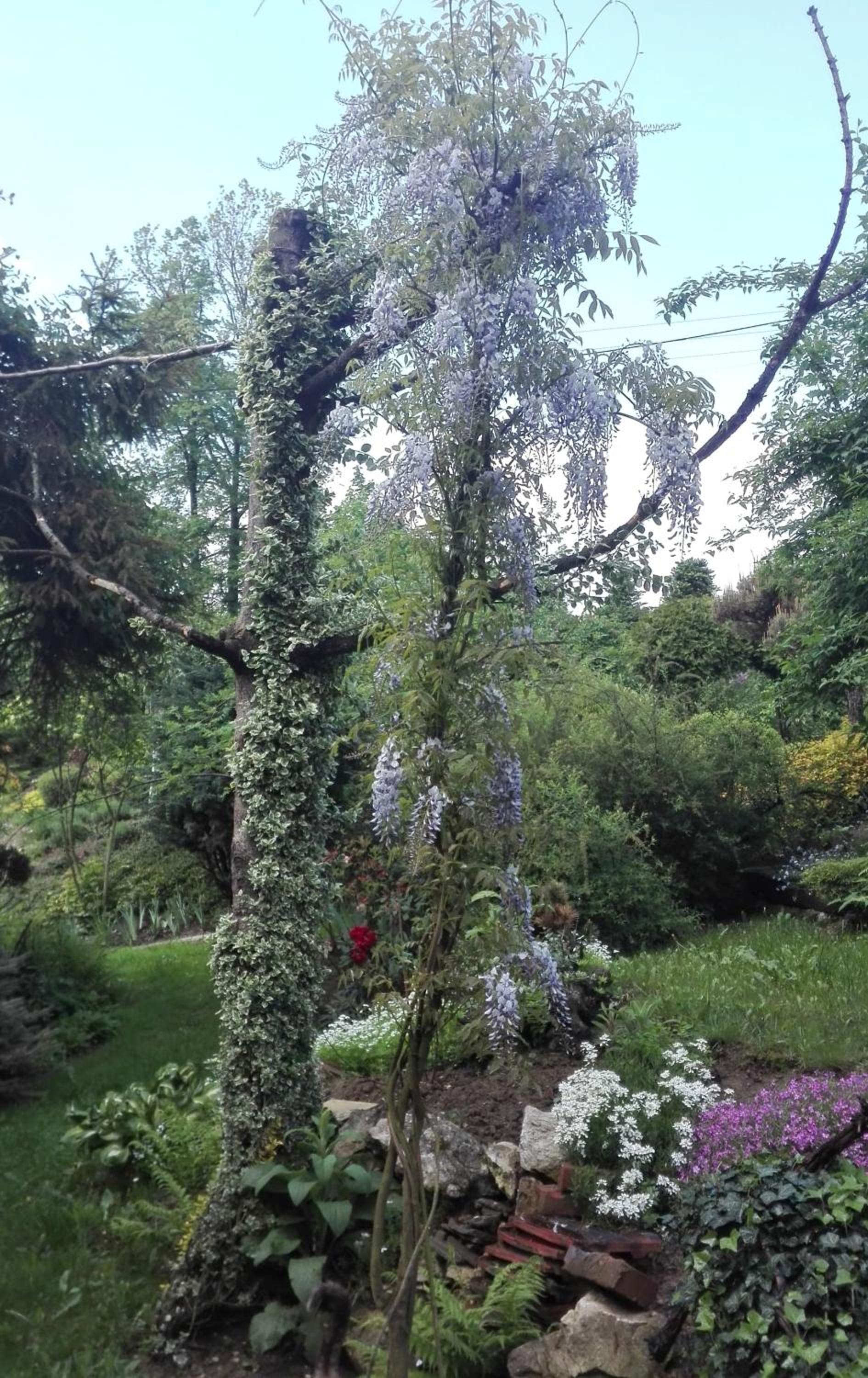 Photo 26