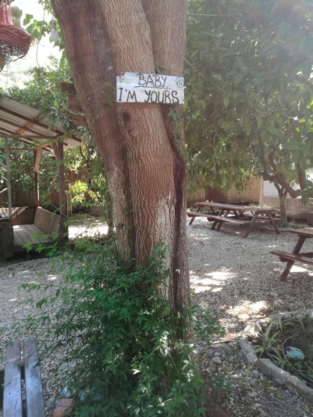 Olympos Yakamoz Pansiyon view 4