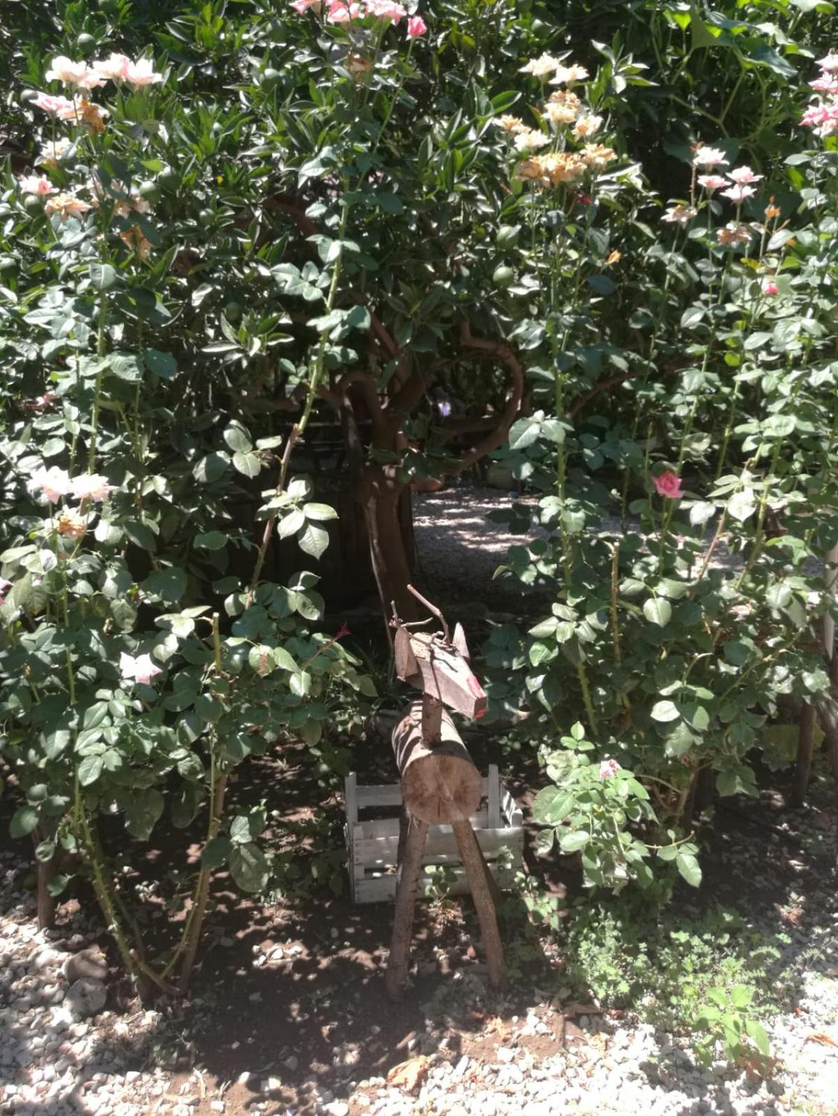 Photo 16