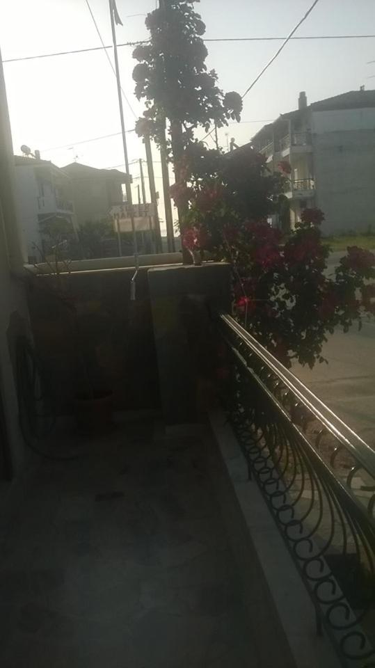 Villa Eleon 2
