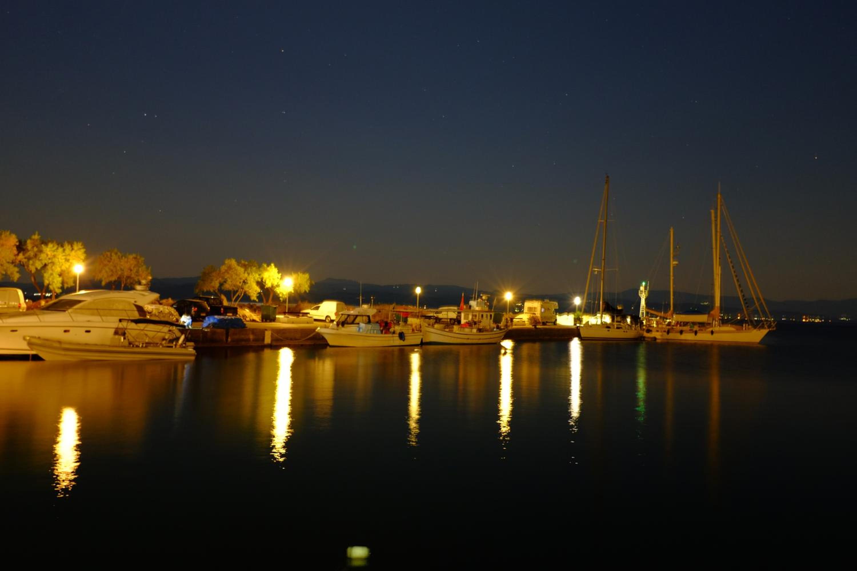 Photo 41