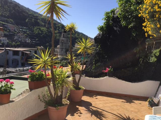 Lemon Garden House photo 1