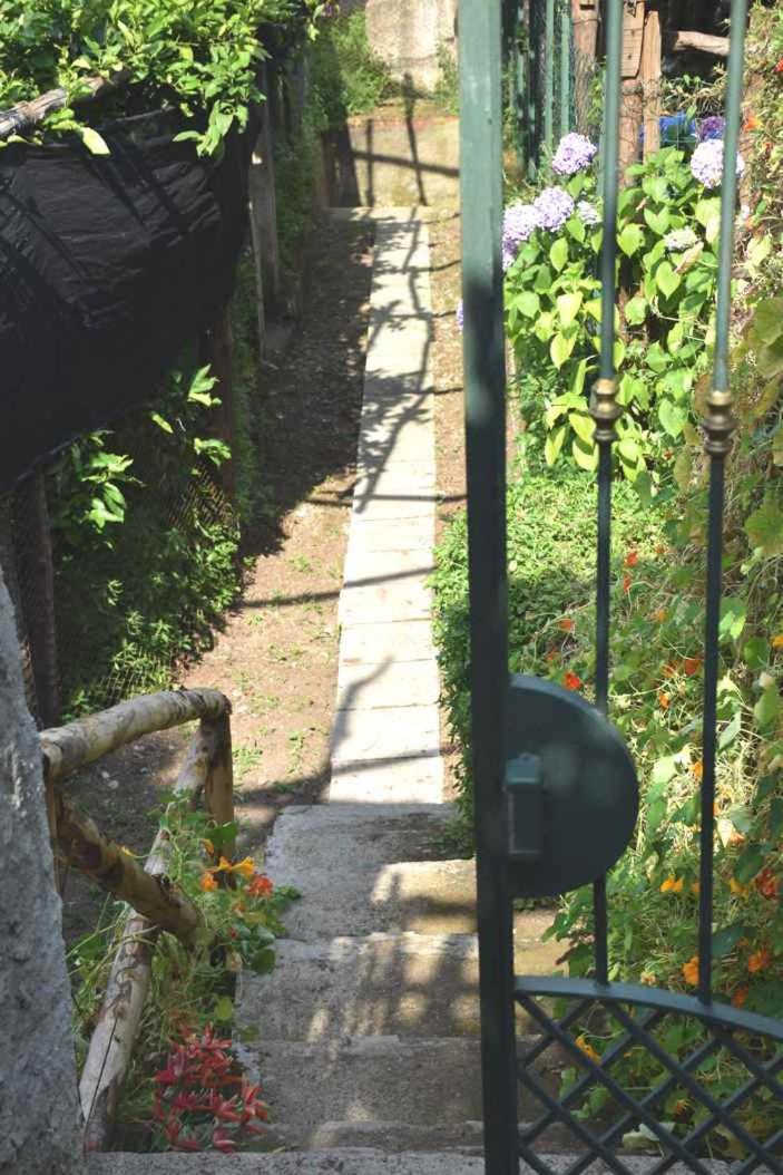 Lemon Garden House photo 4