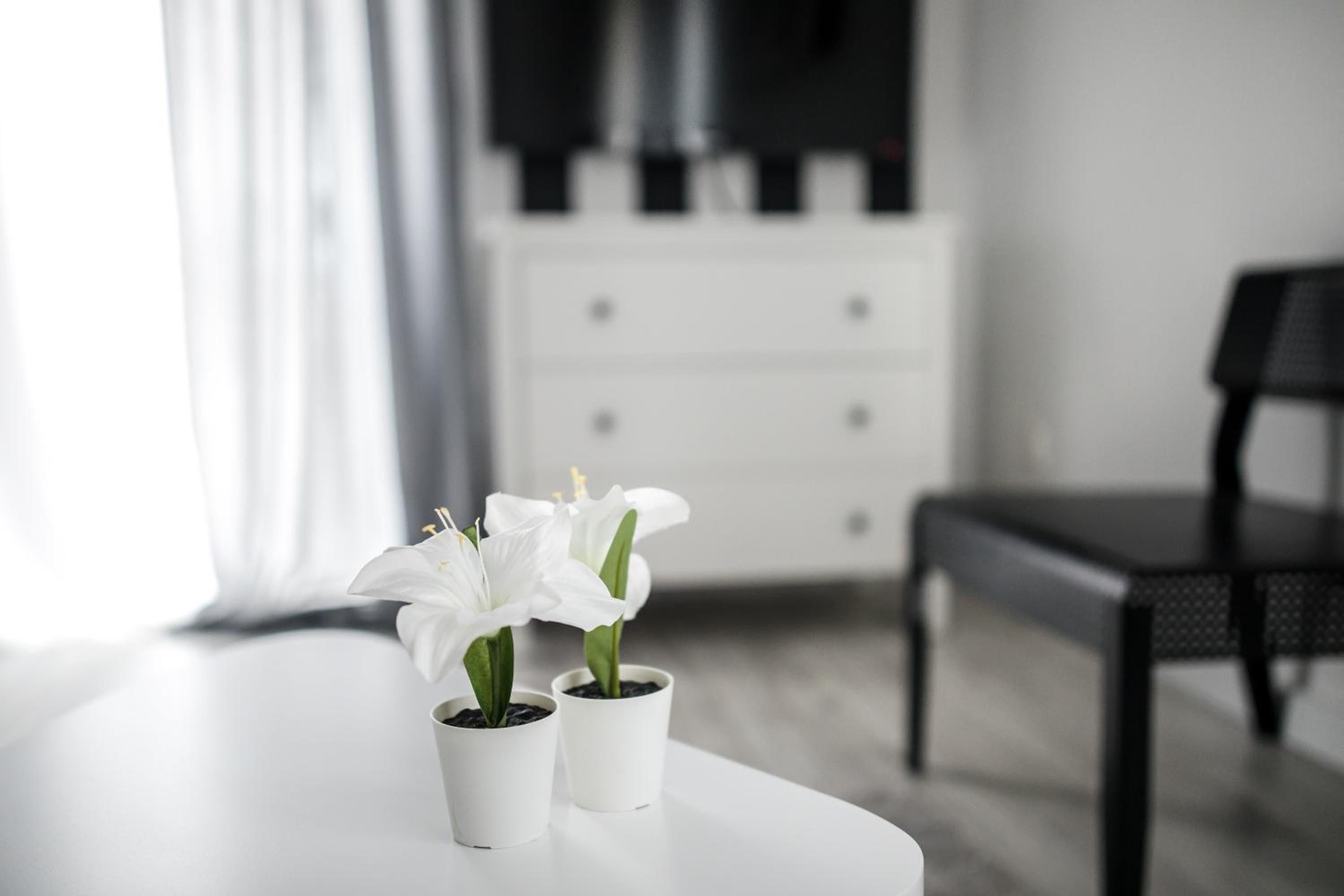 Apartament Nadbystrzycka no.14