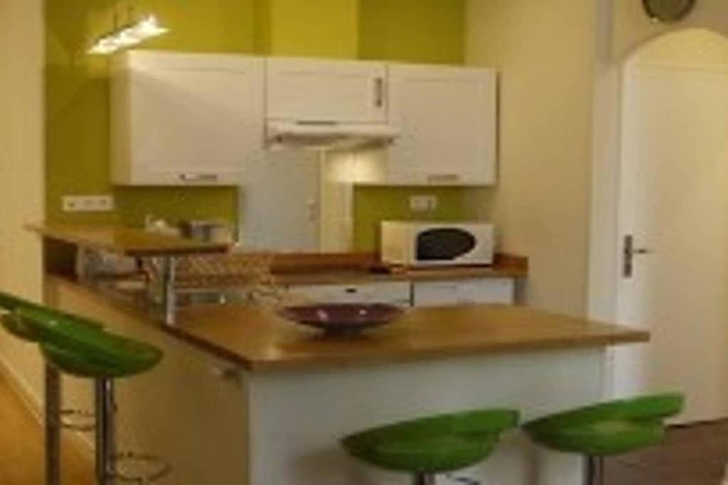 Barla 3 - a spacious one bedroom apartment near Place Garibaldi photo 5
