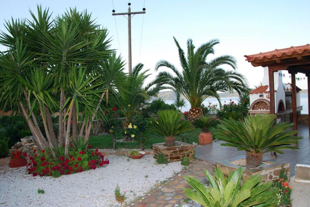Photo 20