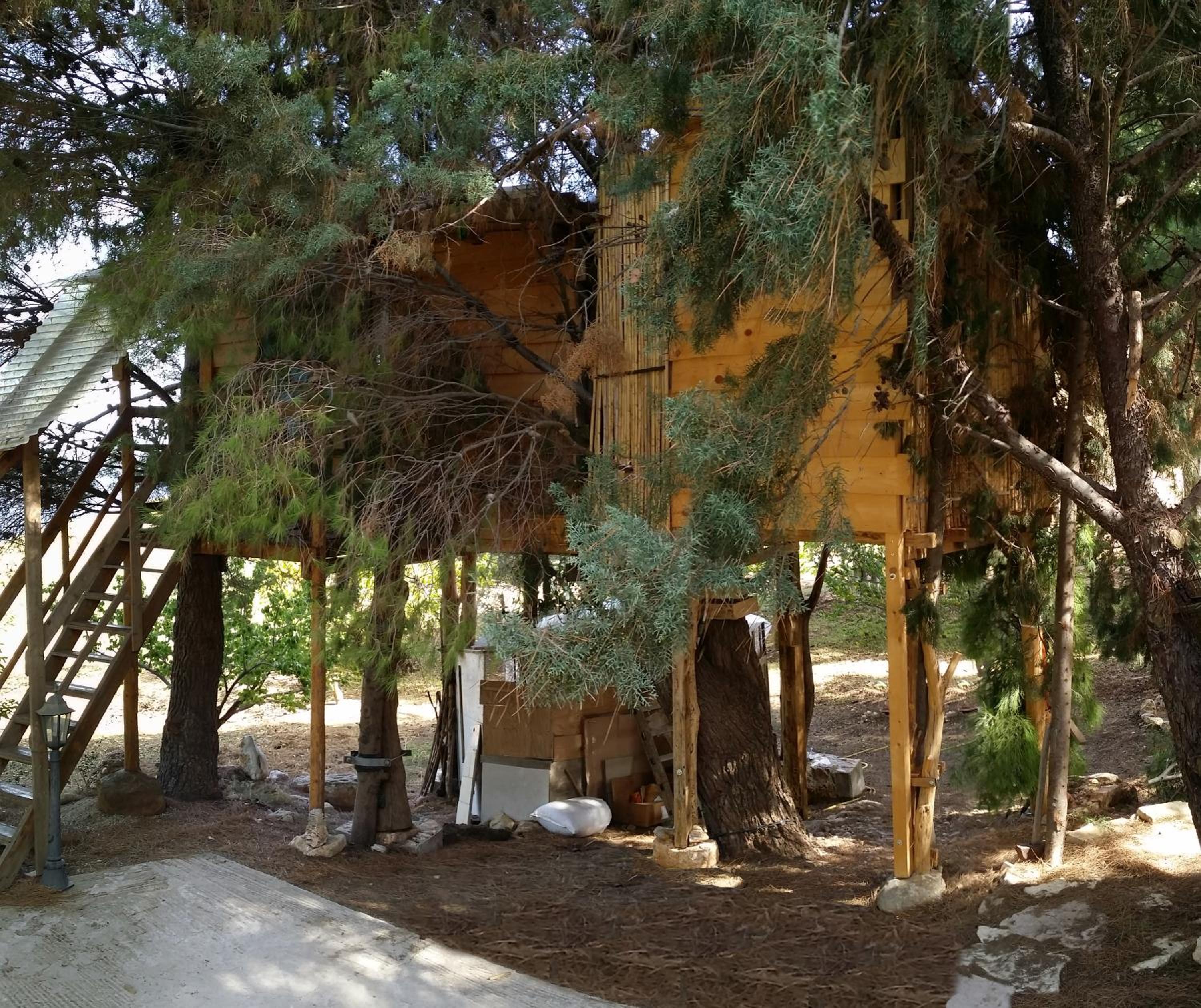 Photo 12