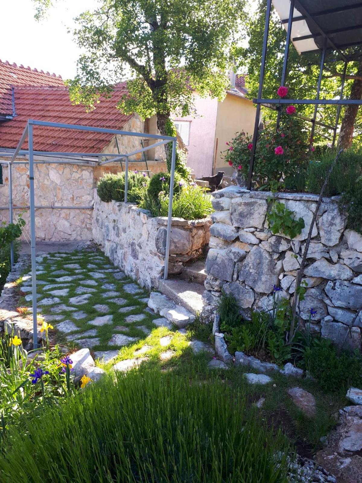 Photo 19