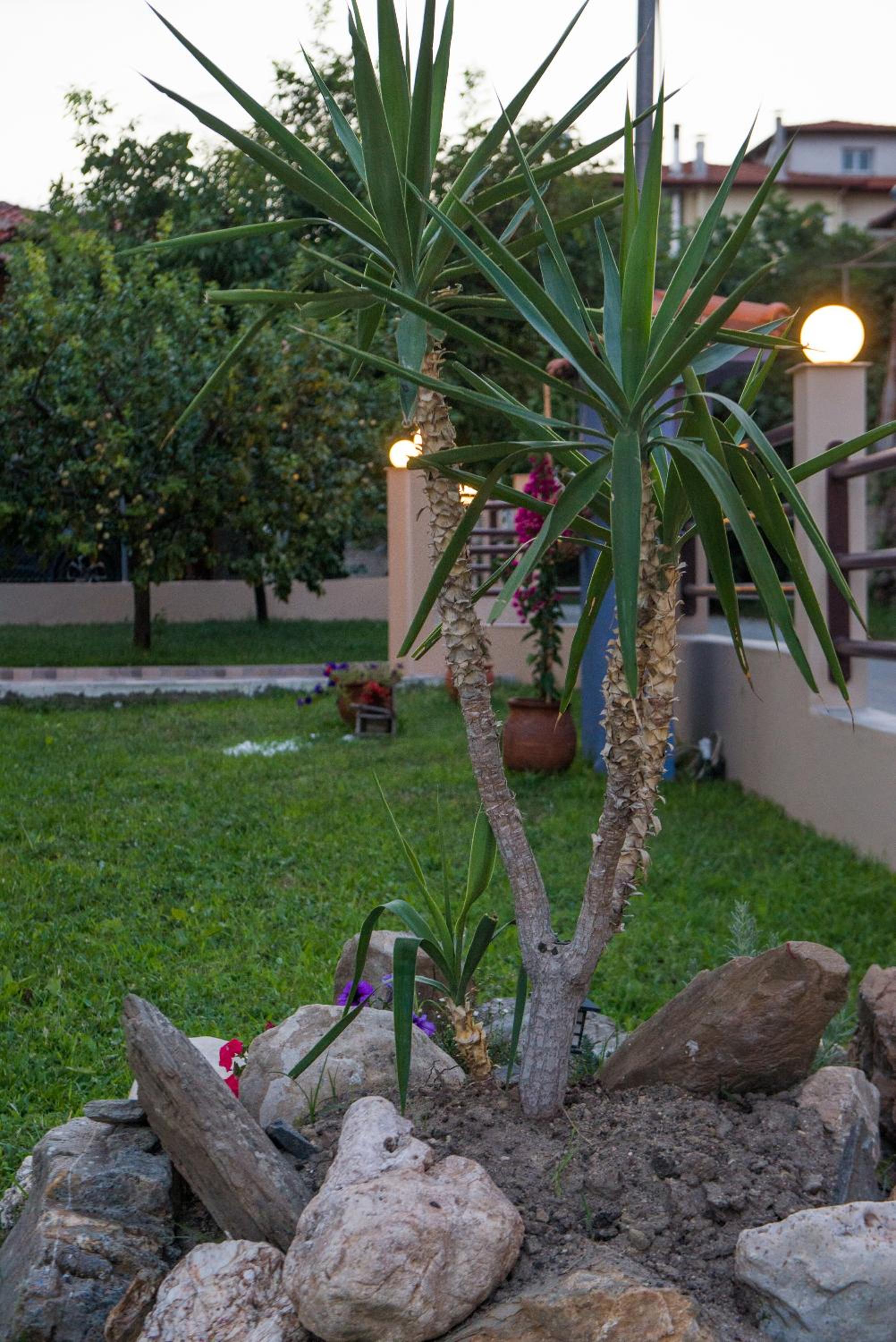 Roxani's Apartments