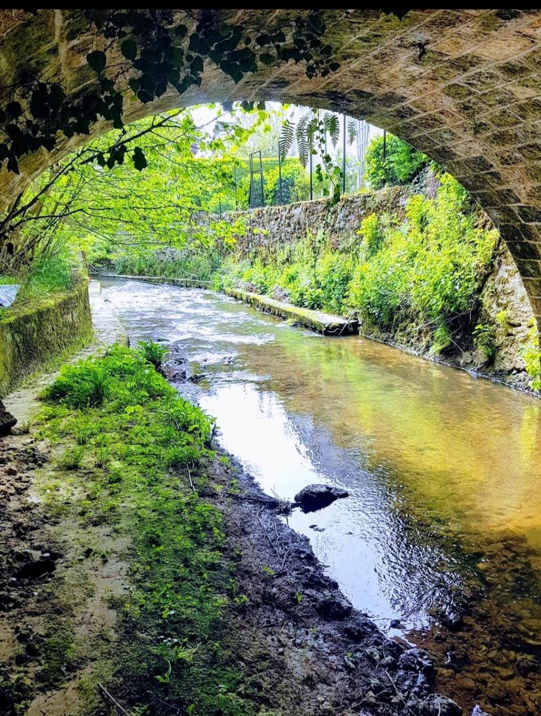 Photo 41