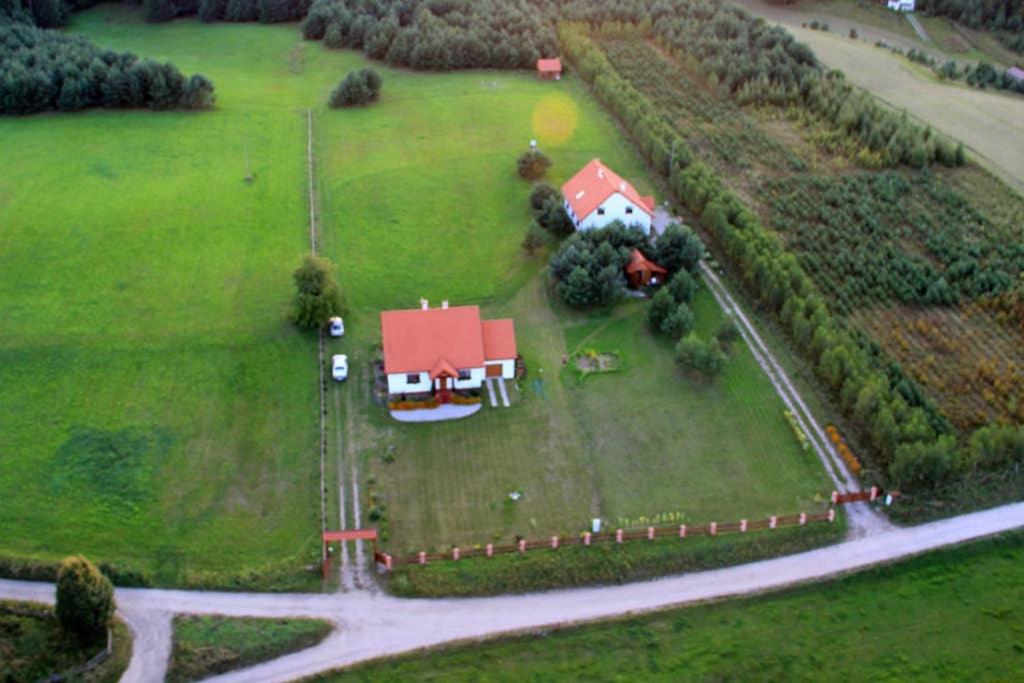 Dom pod Dziką Gruszą view 3