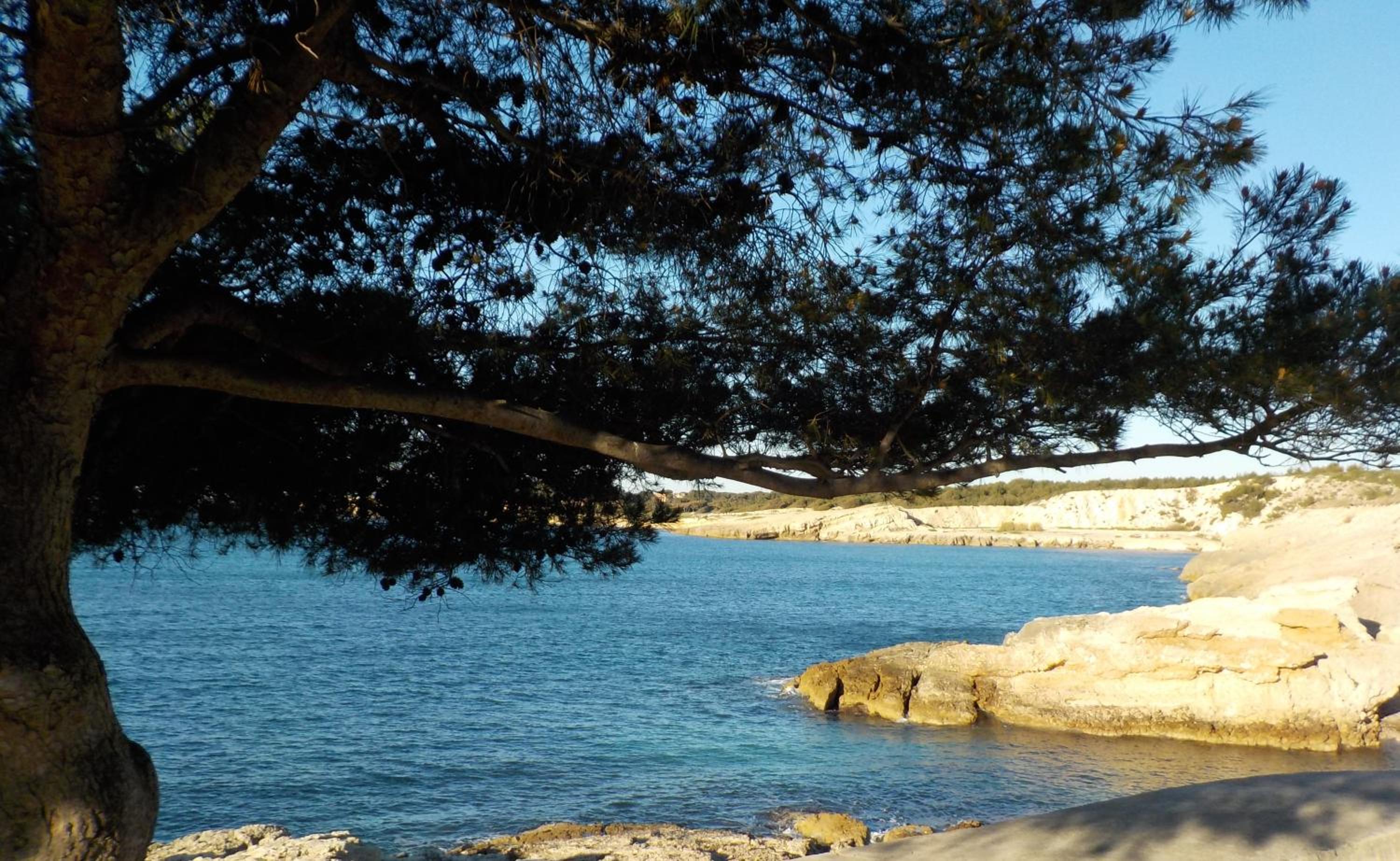LES LAURIERS view 2