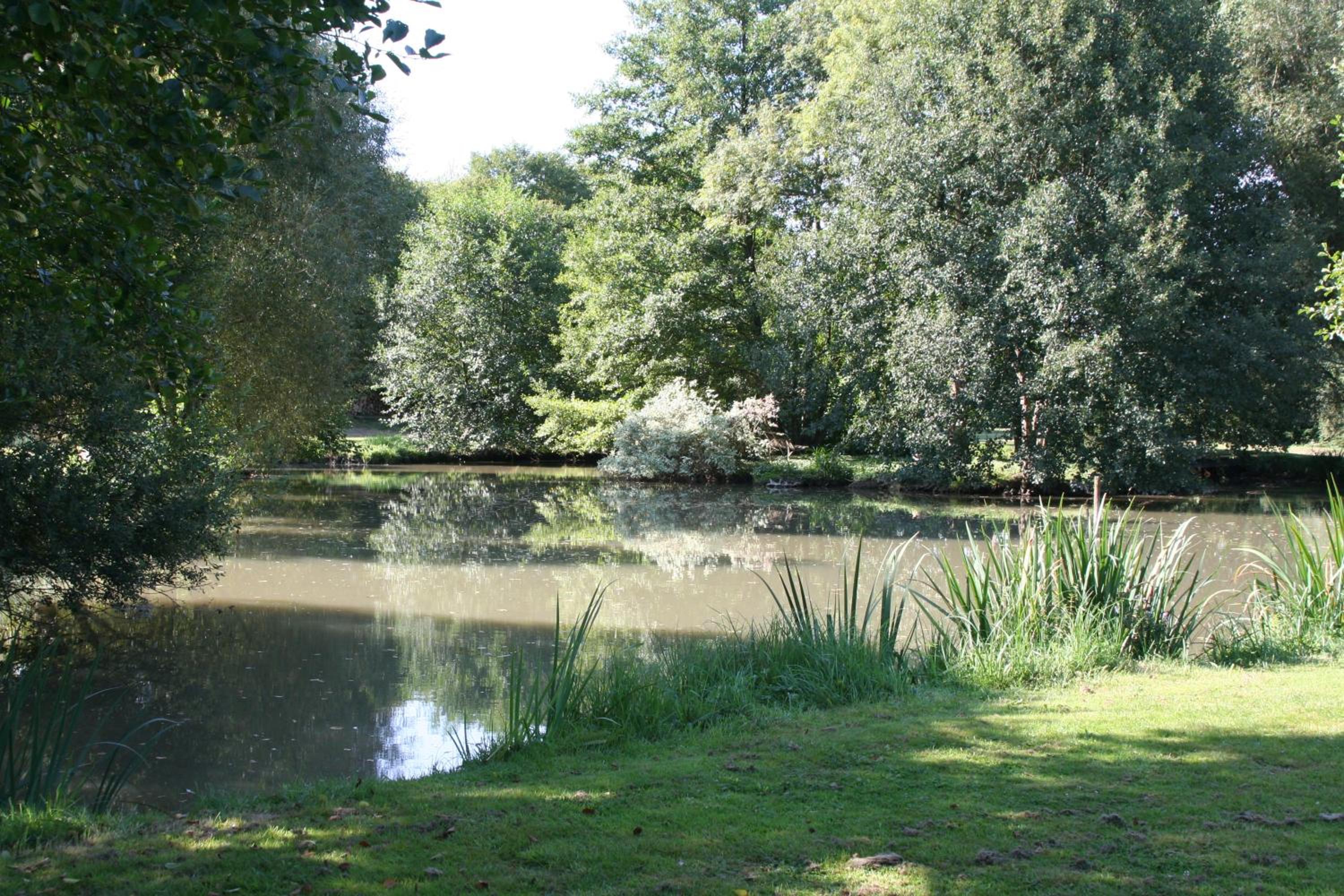 Le Petit Moulin view 5