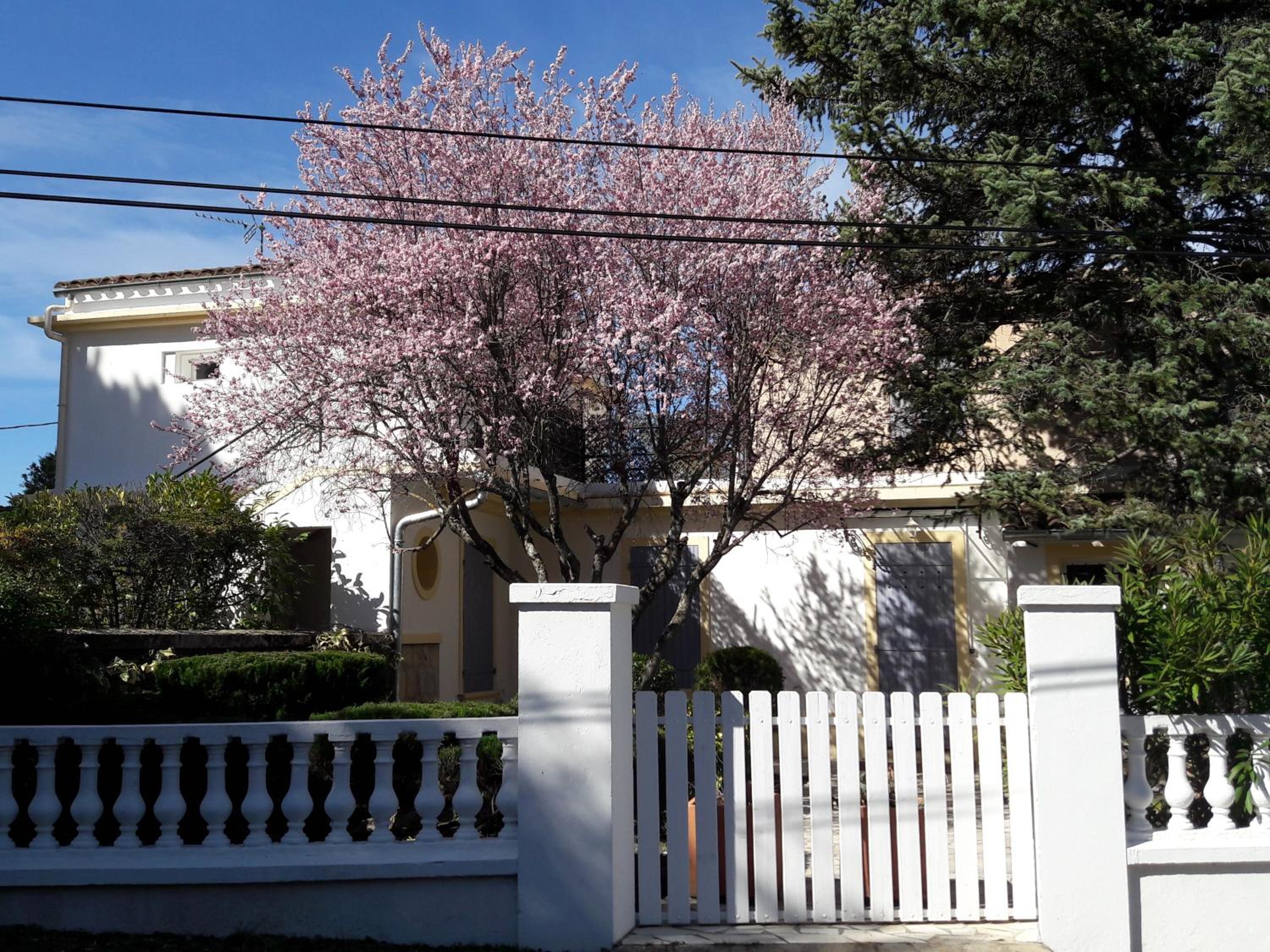 Photo 48