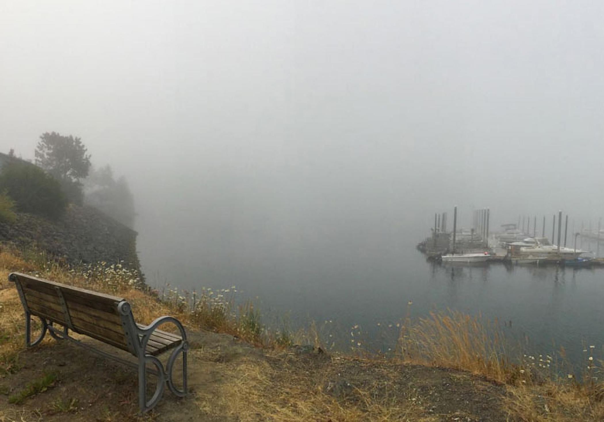 Homer Vacations - Sea Parrot Inn - Property Image 4