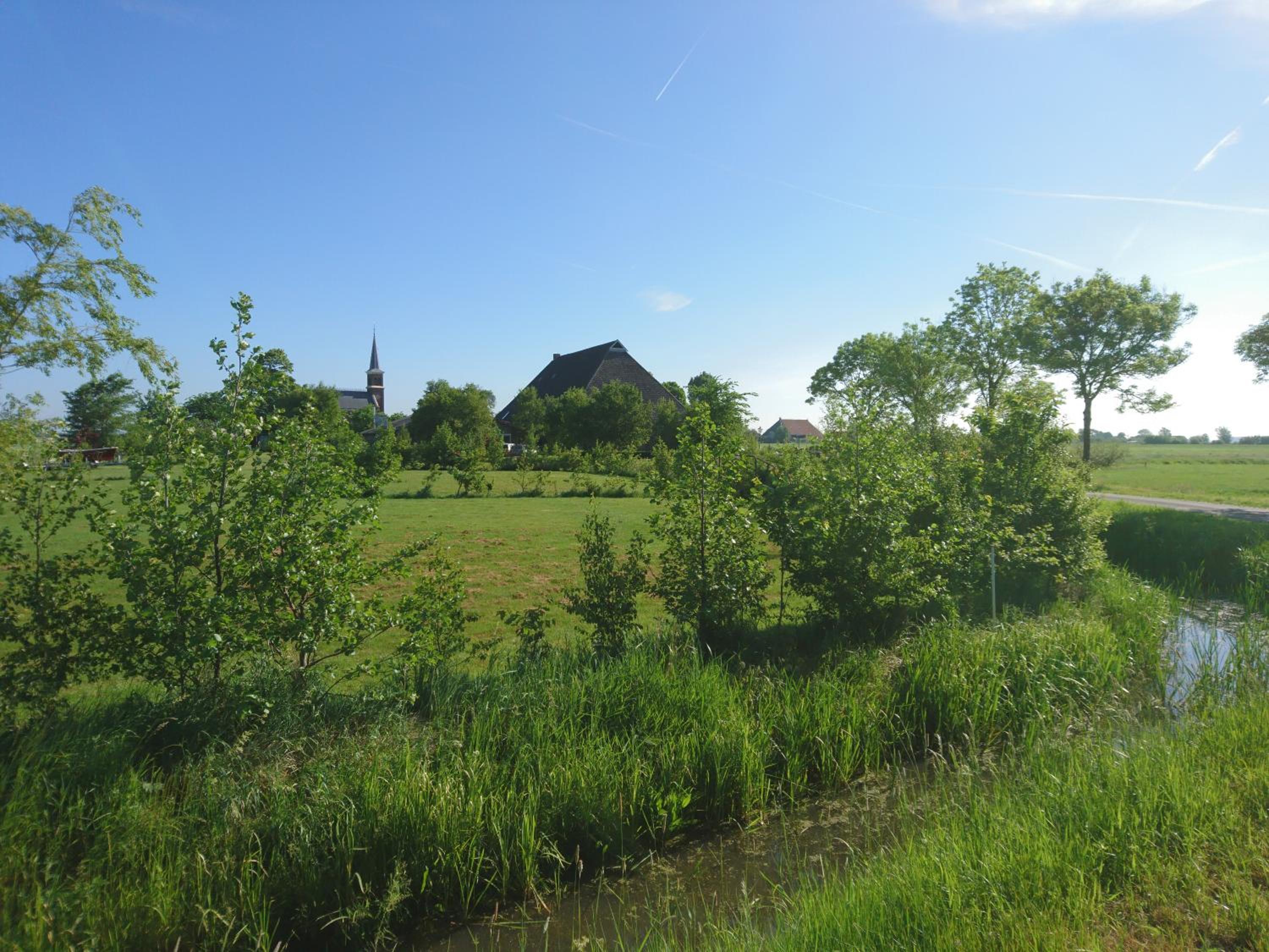 Photo 30