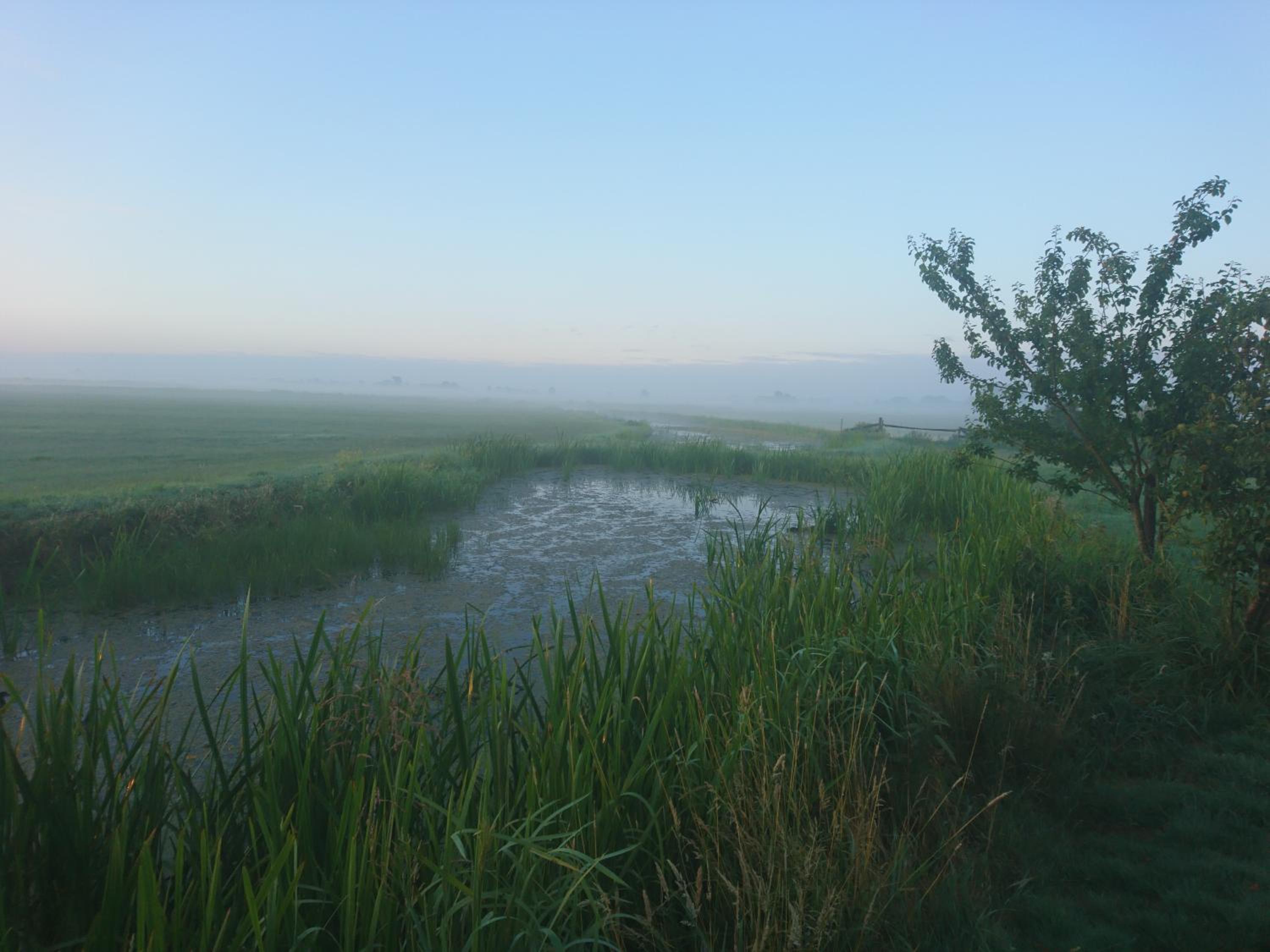 Photo 29