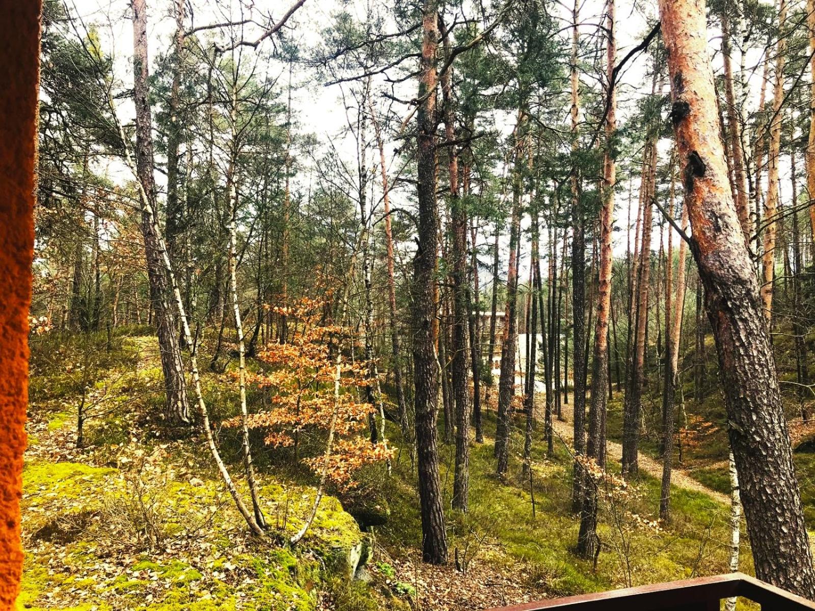 Penzion Nový mlýn