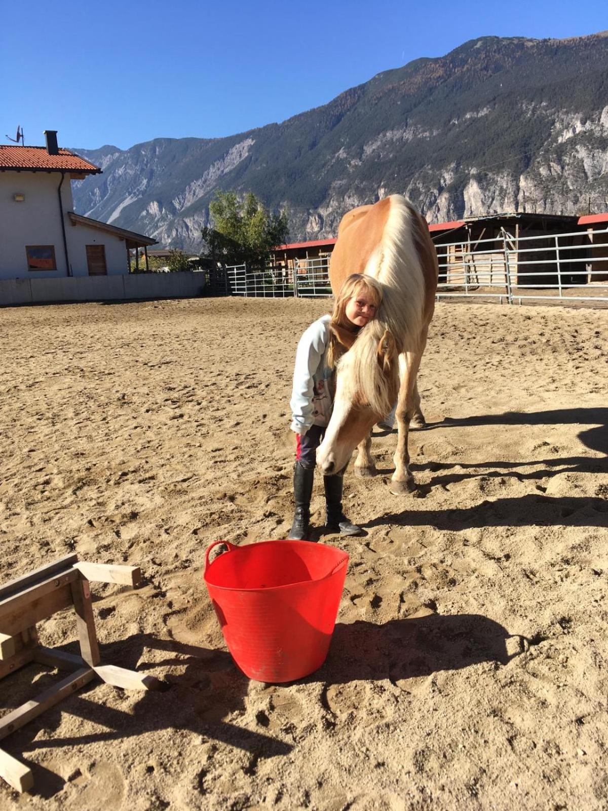B&B Margit's Ranch Urlaub am Pferdehof