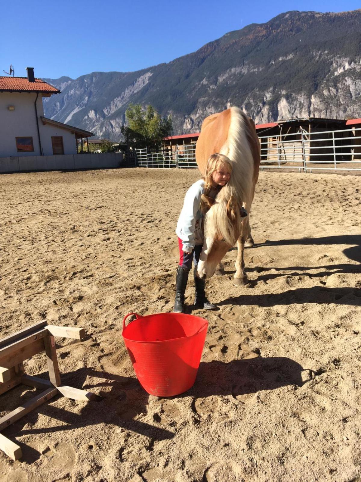 B&B Margit's Ranch Urlaub am Pferdehof