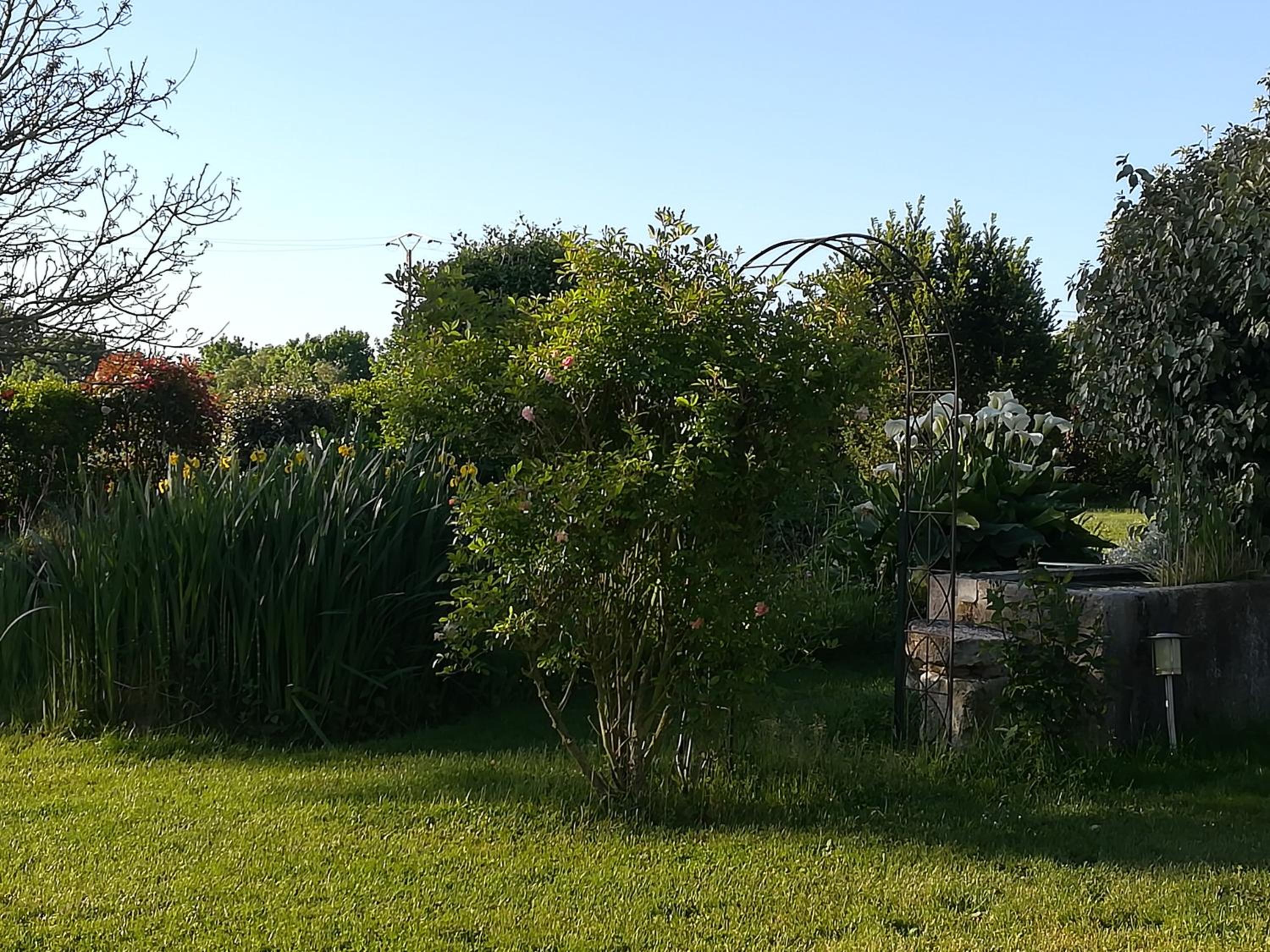 Photo 16