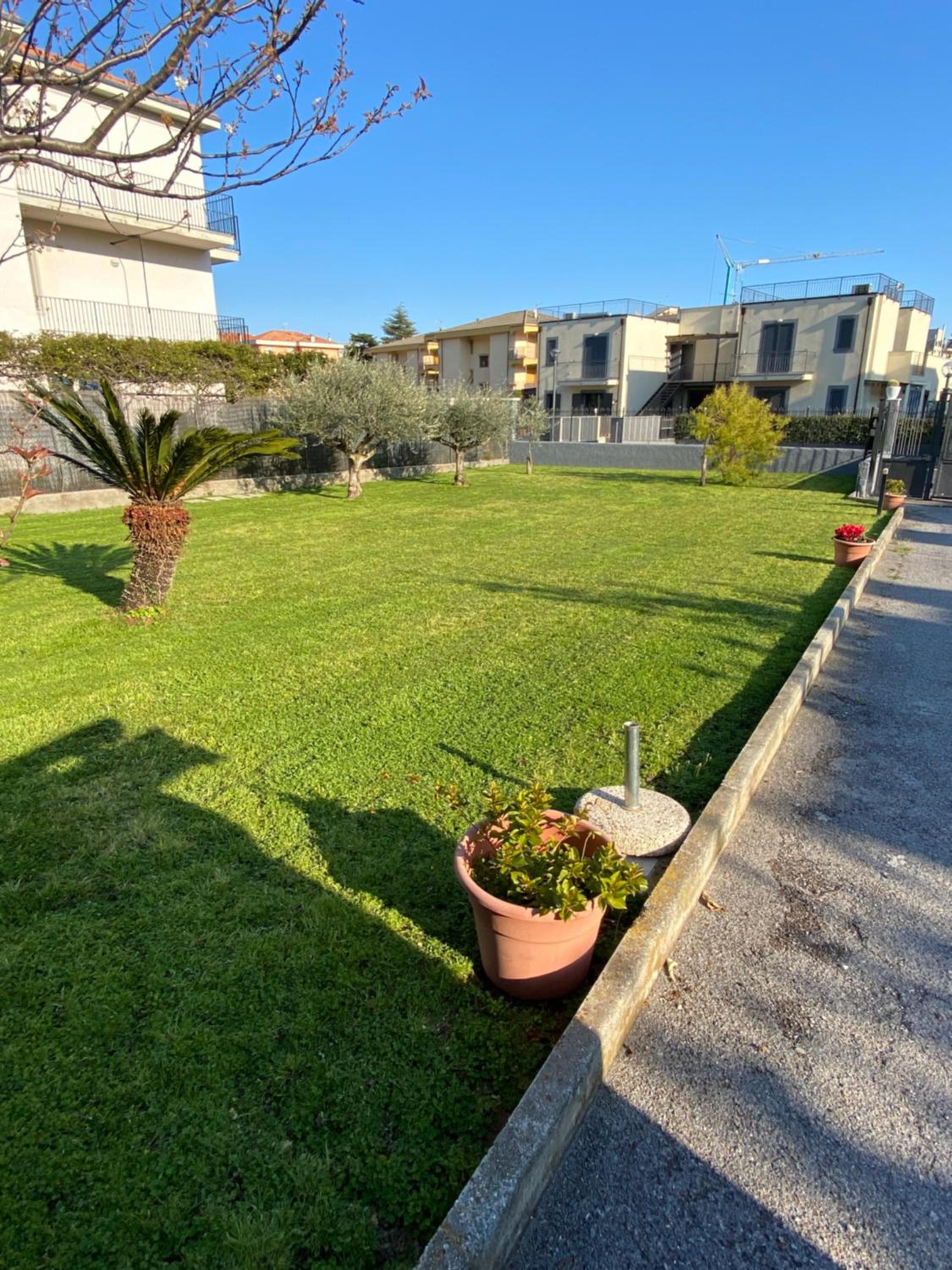 I fiori di Pietra 2 view 2
